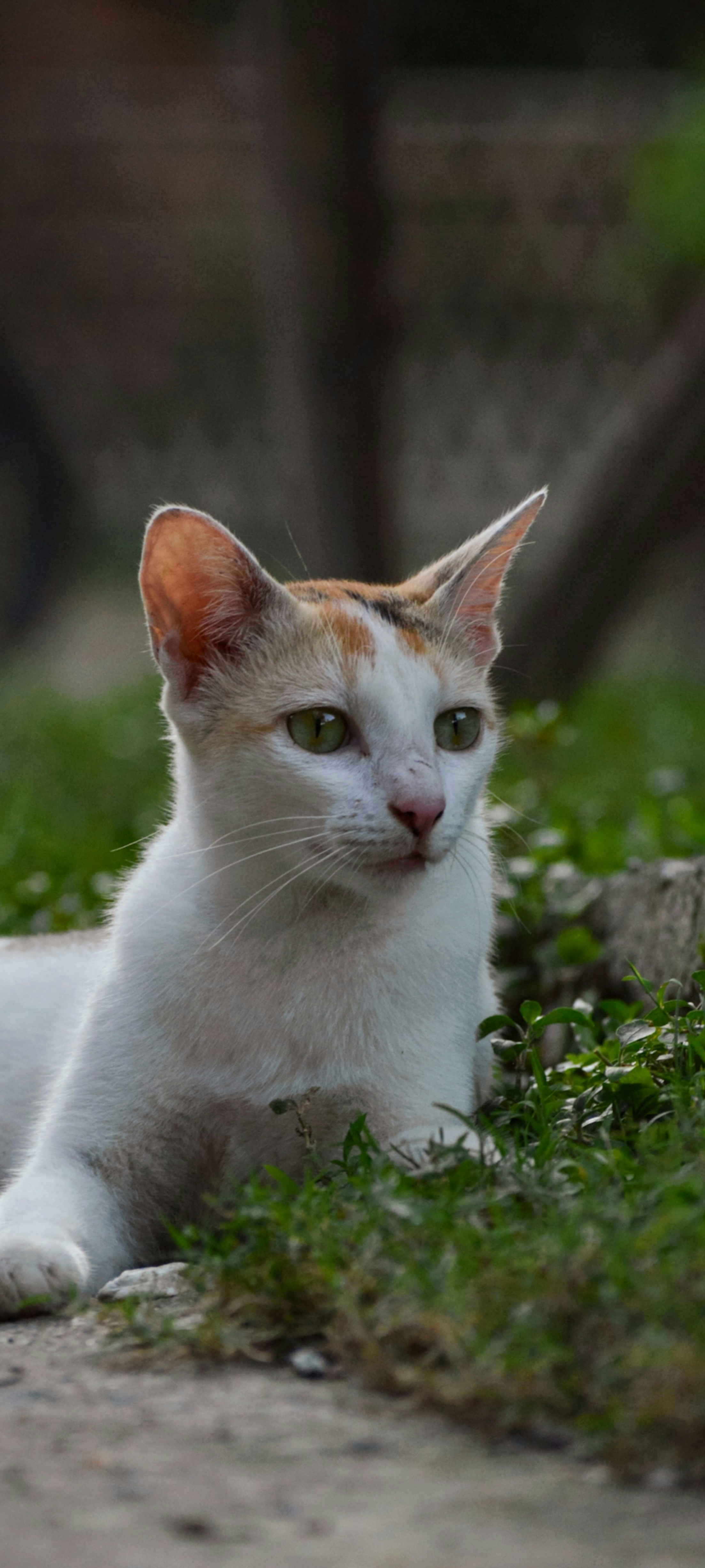 Photo by photography__from__sidd