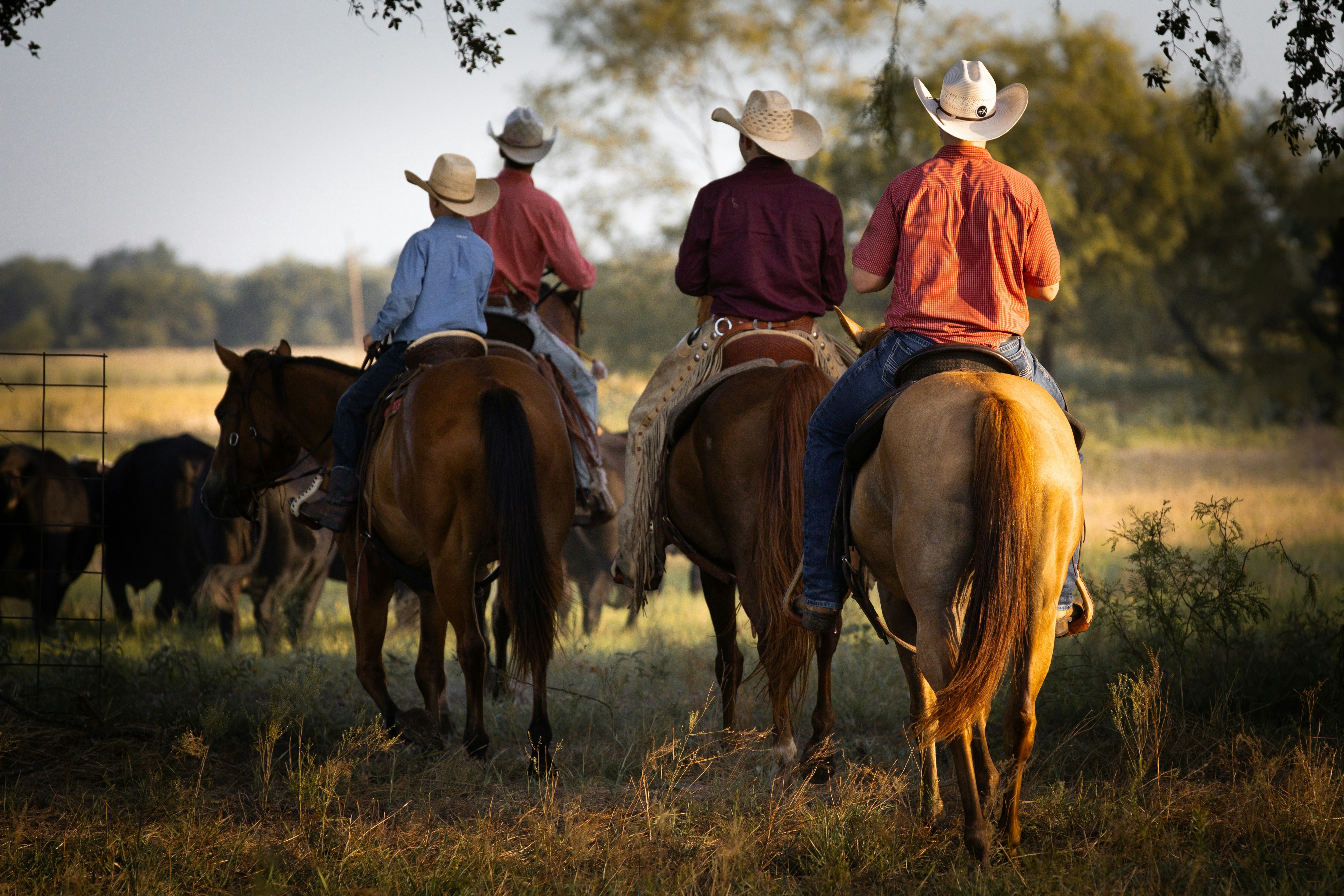 A group of men riding on the backs of horses