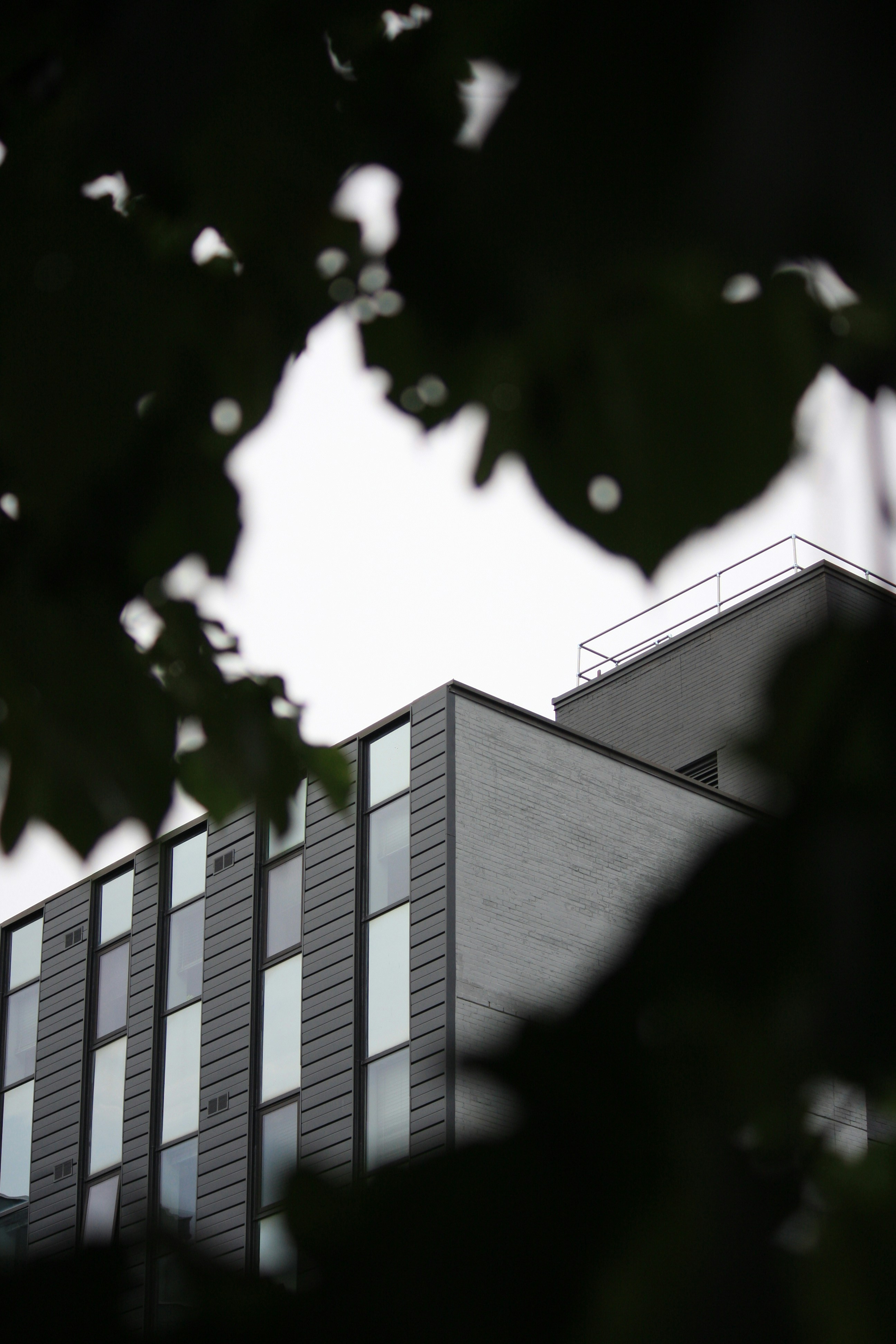 Photo by hashcode_error