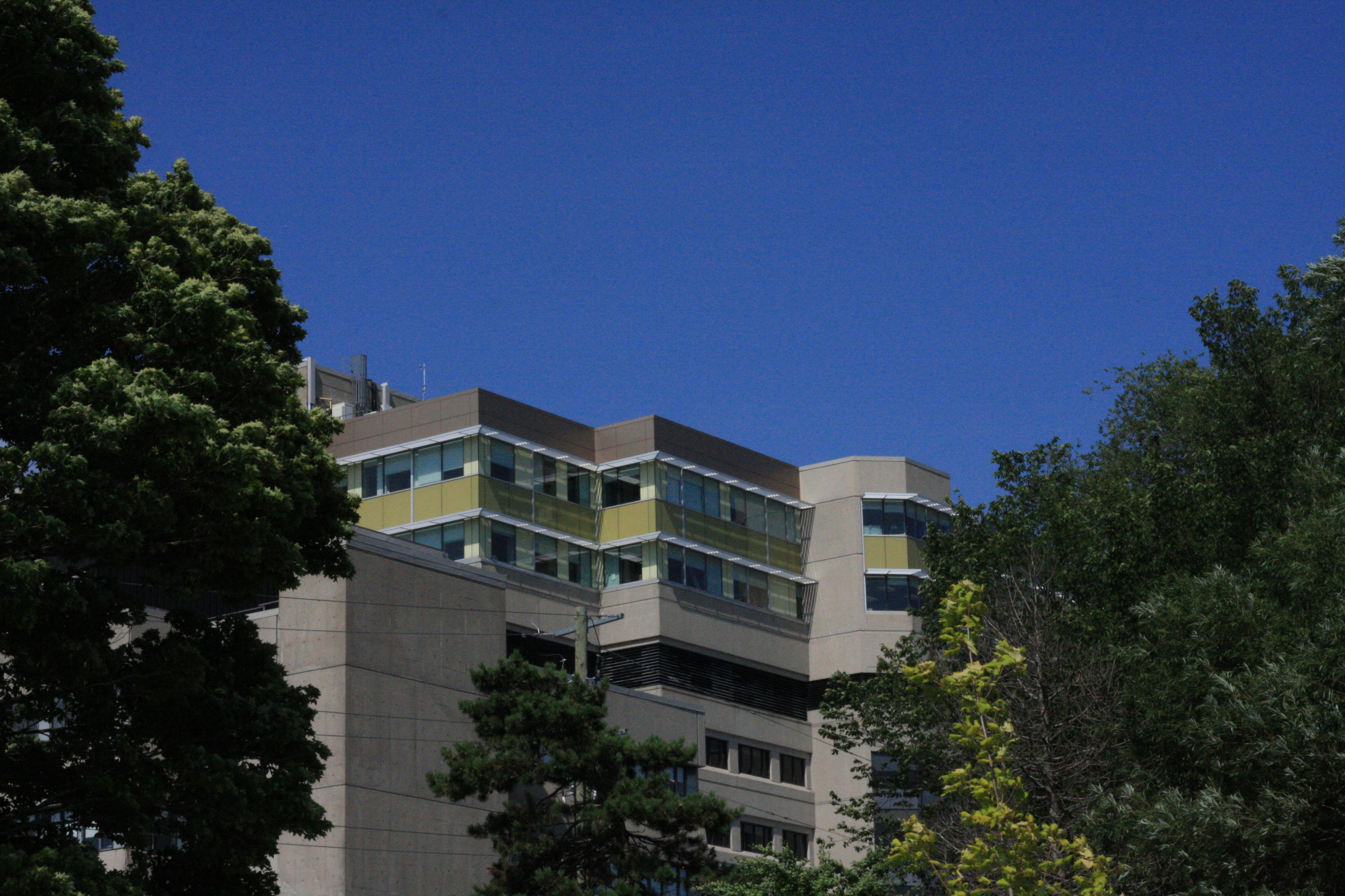 A tall building sitting next to a lush green forest