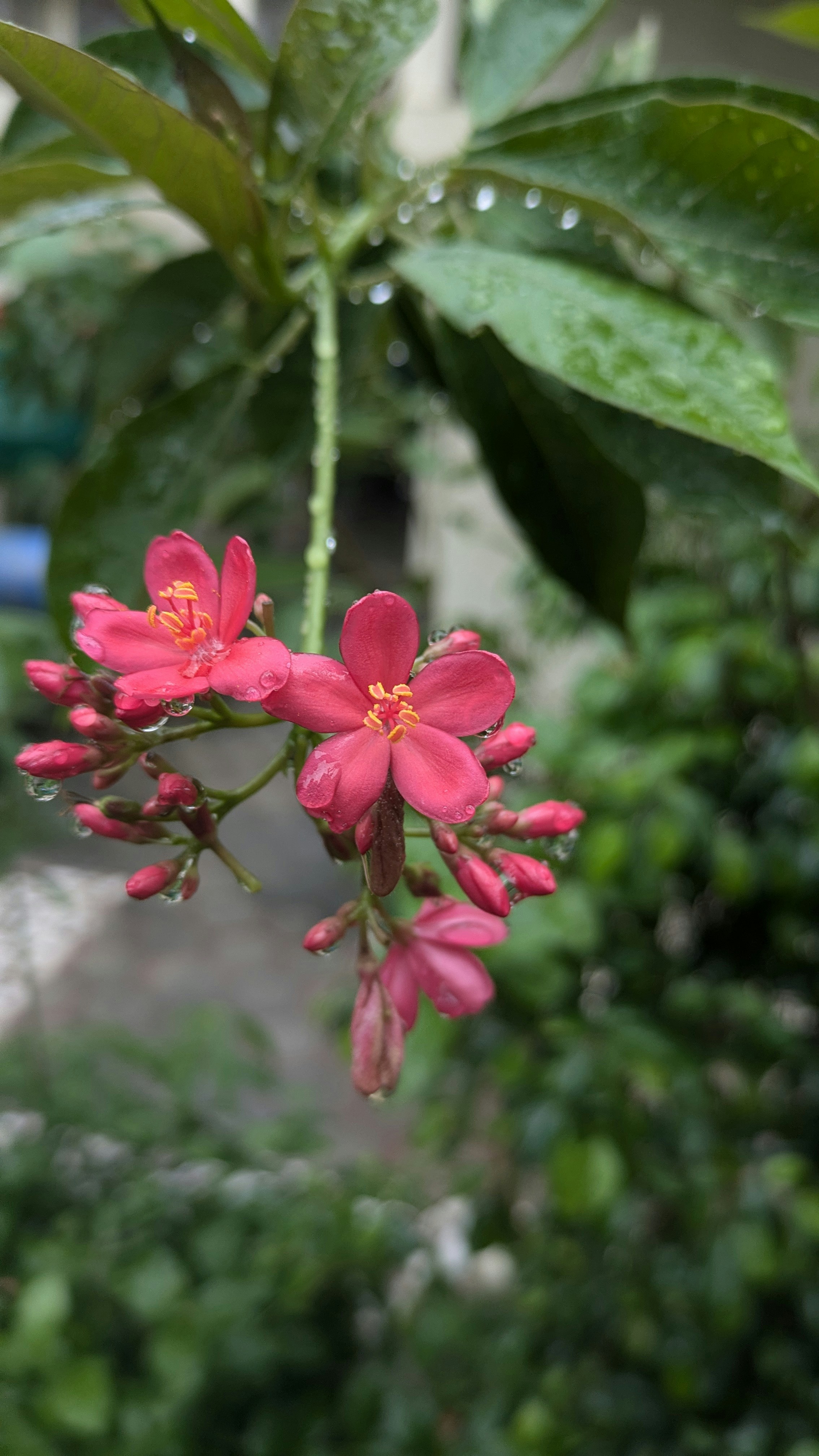 Photo by jenish_1559