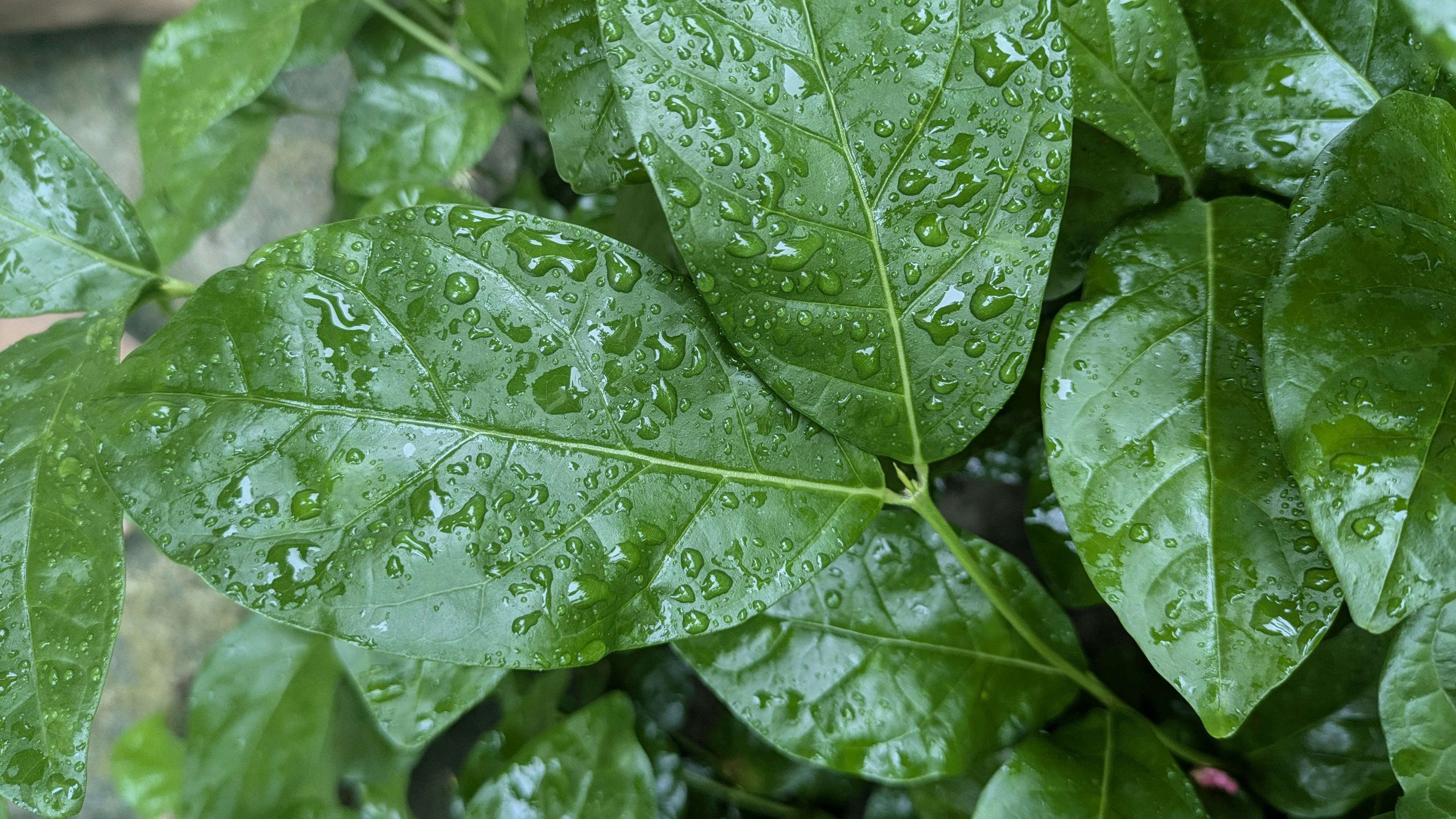 Photo by jenish_1559