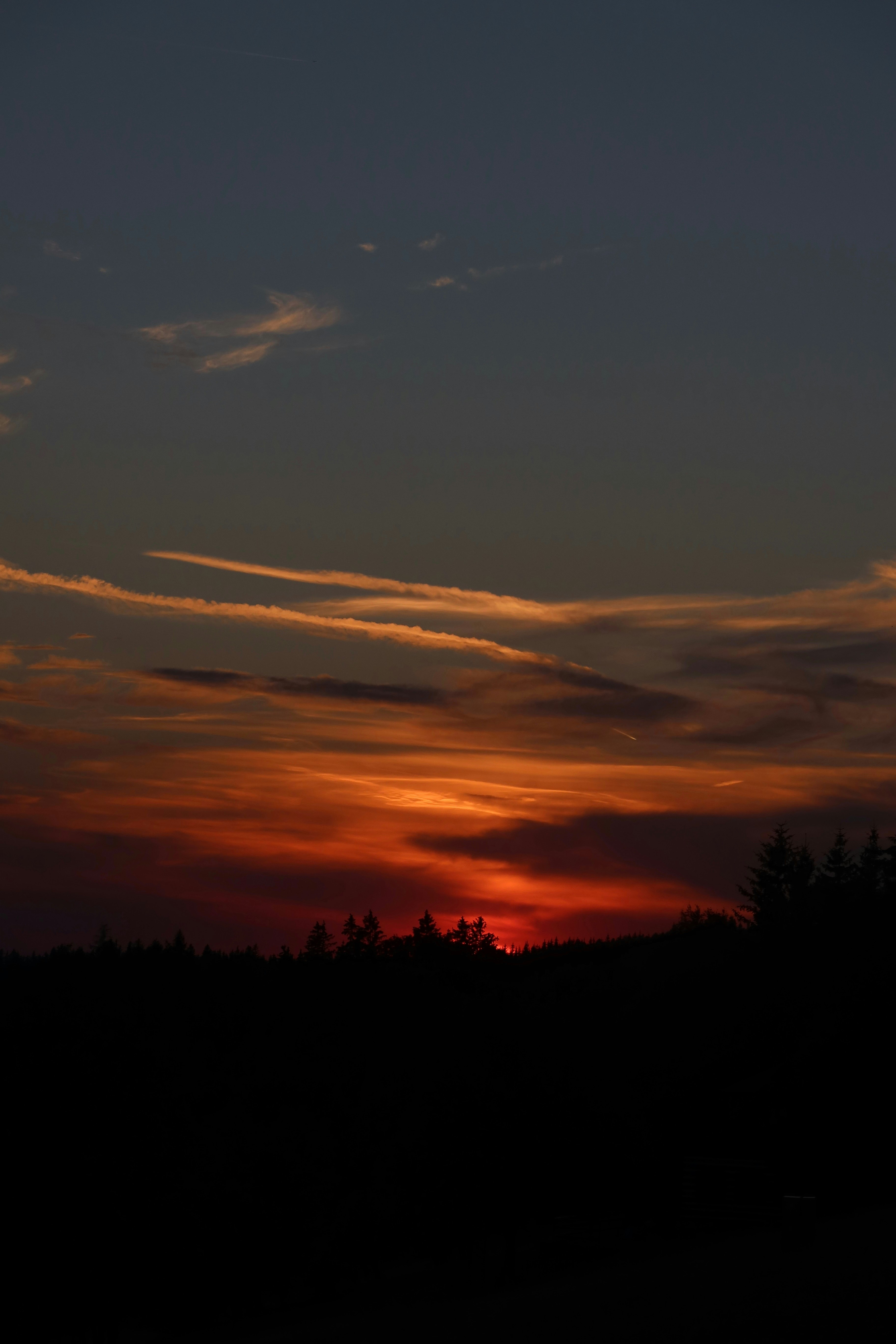 Photo by irisvdkraak