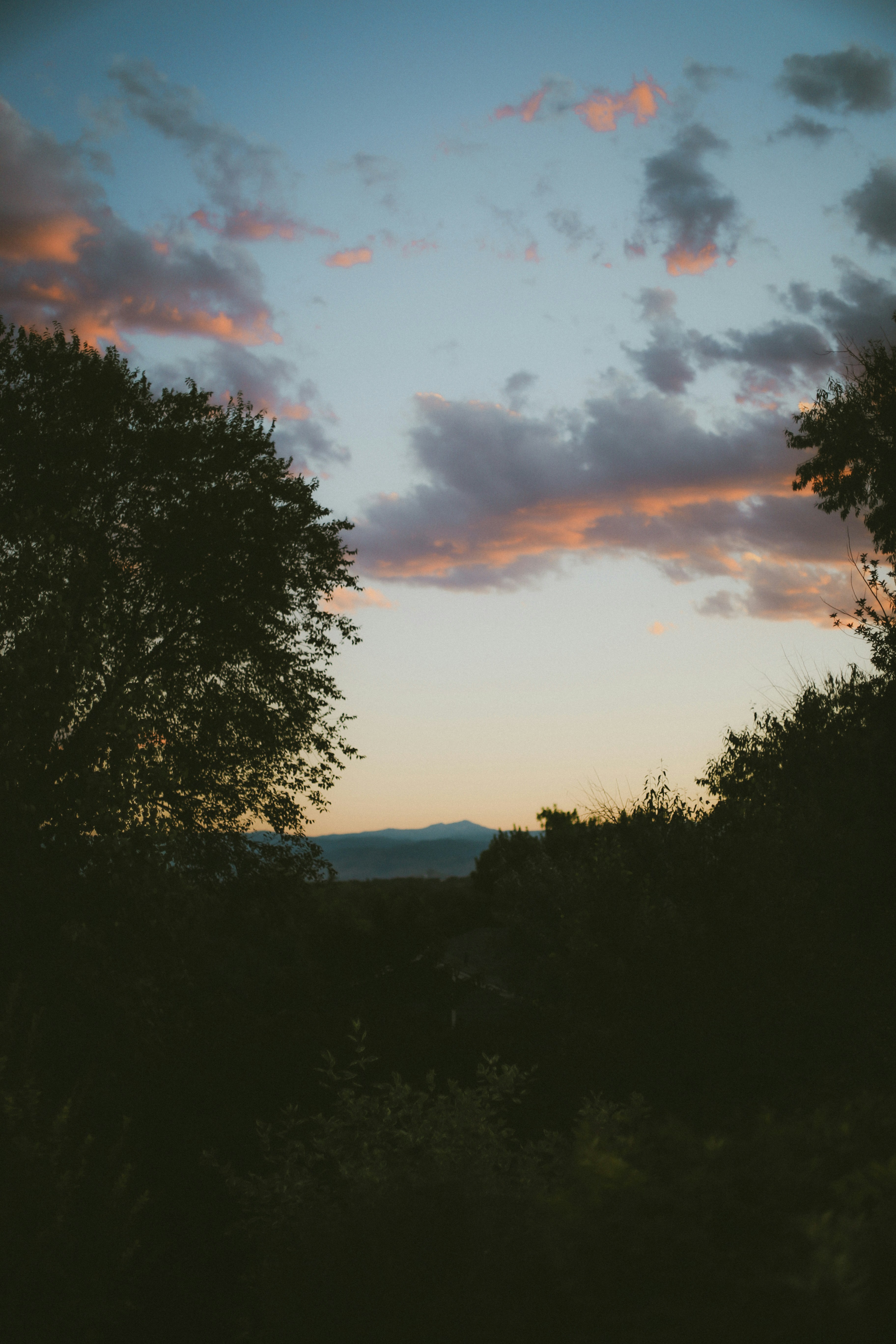 Photo by jessicalfadel