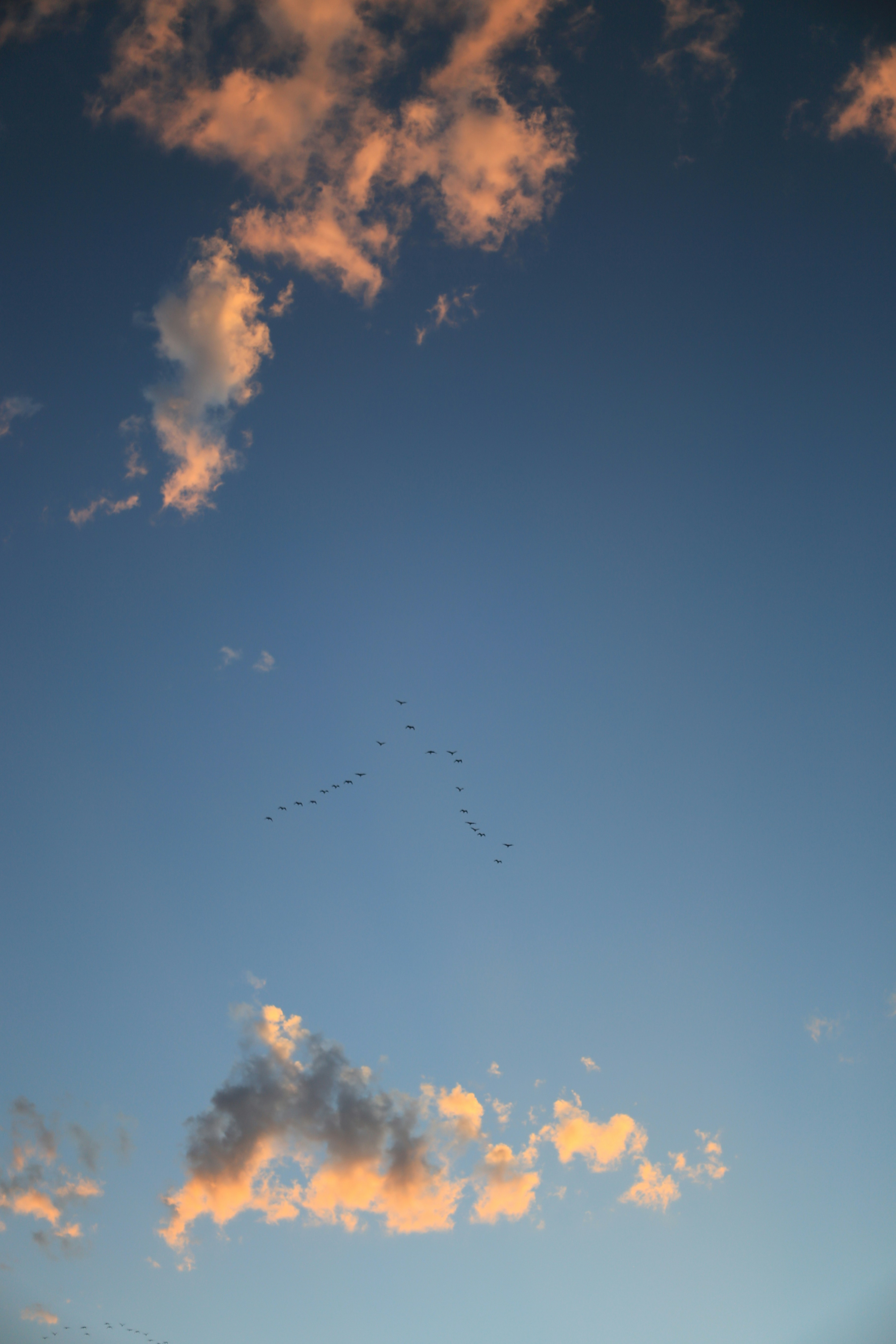 Photo by jessicalfadel