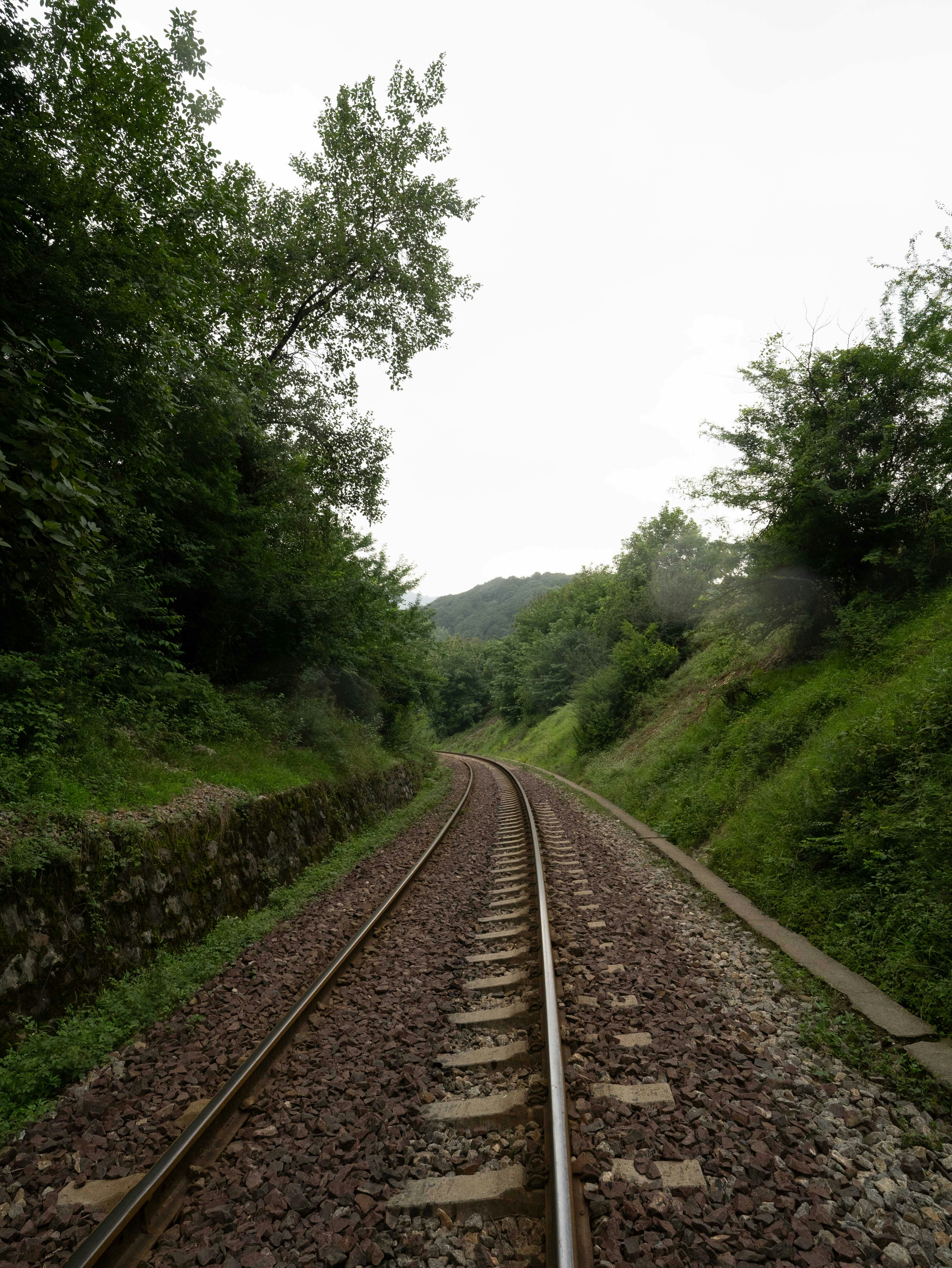 A train track running through a lush green forest