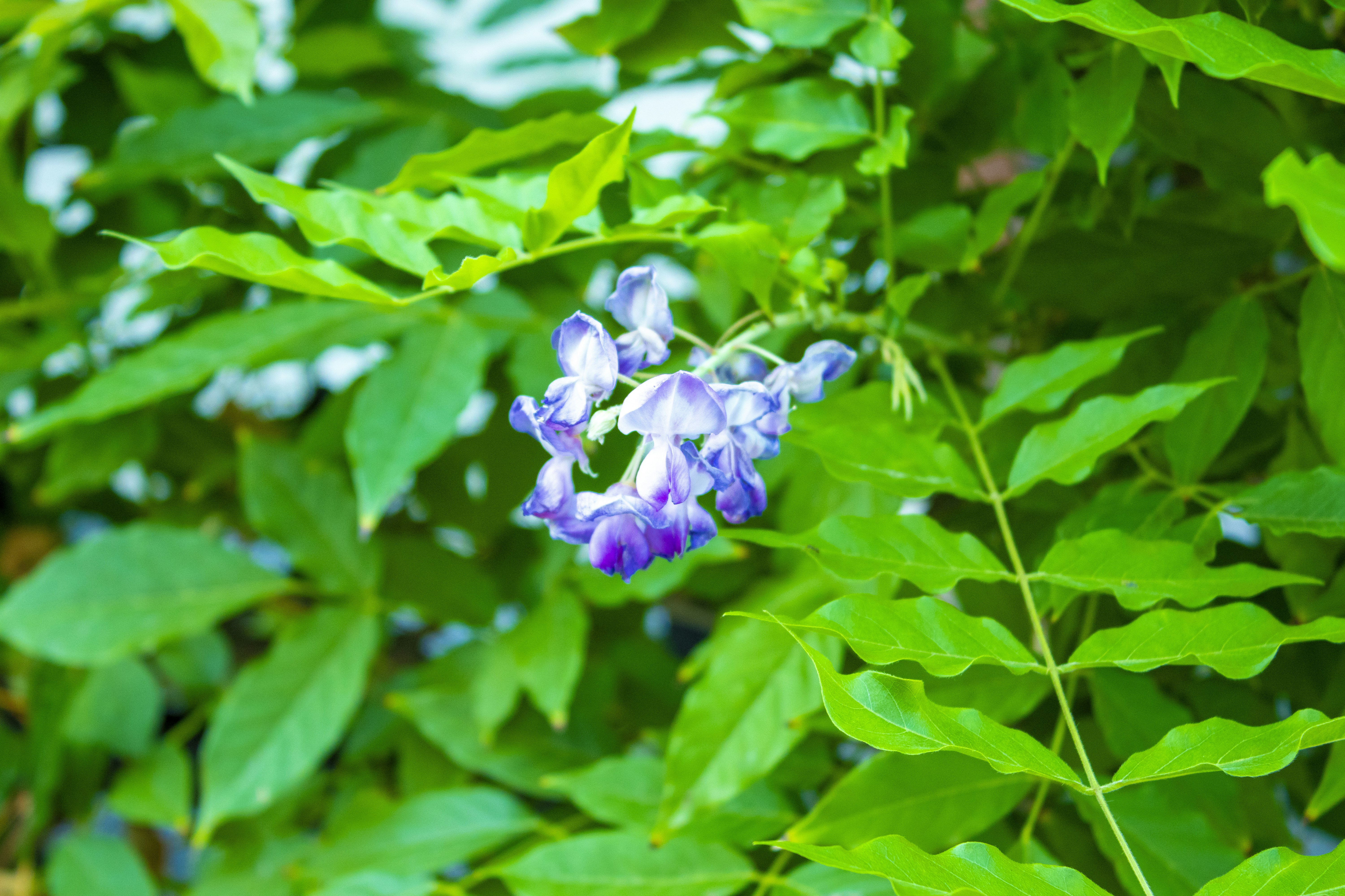 Photo by servetphotograph