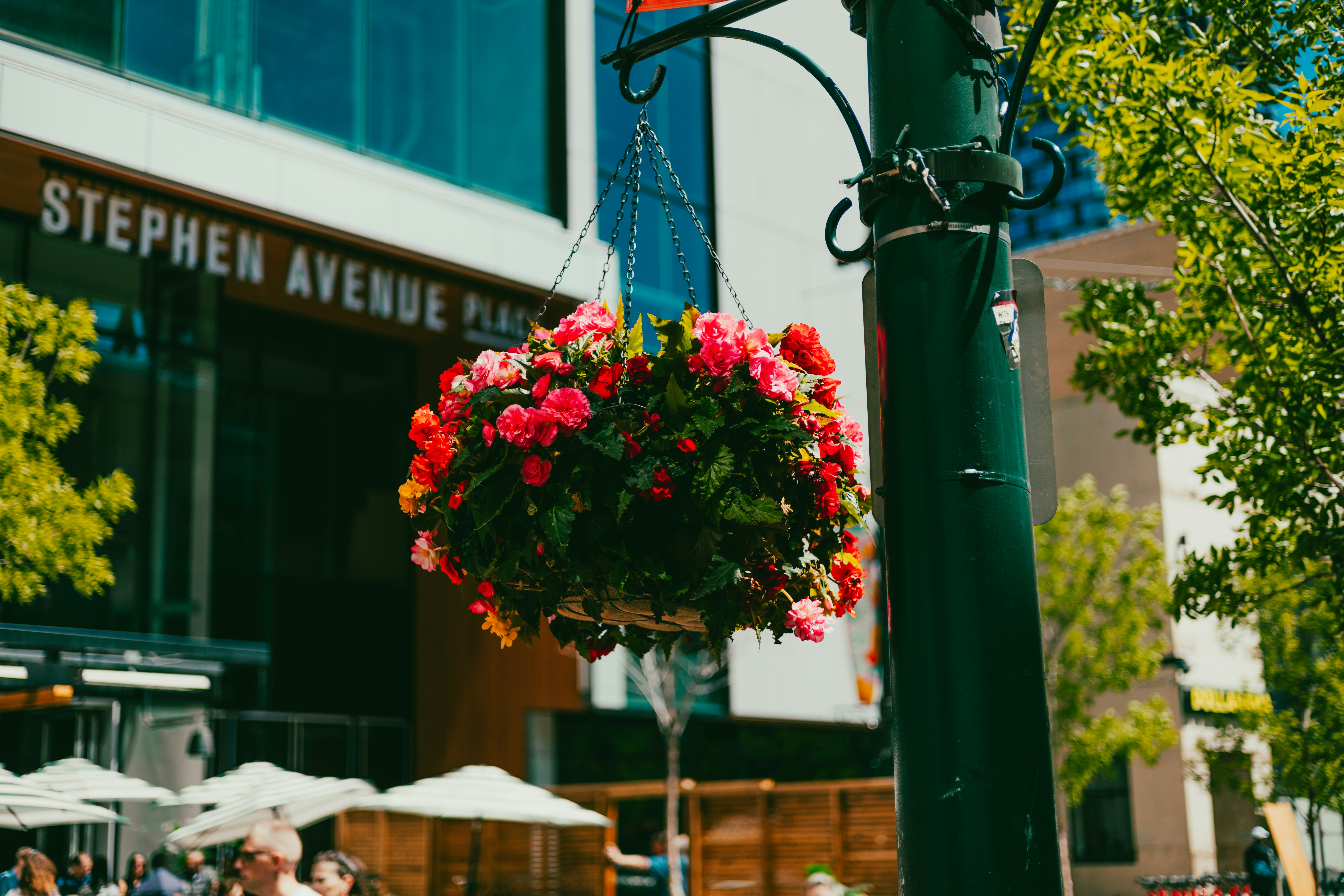 Photo by harrydhindsa