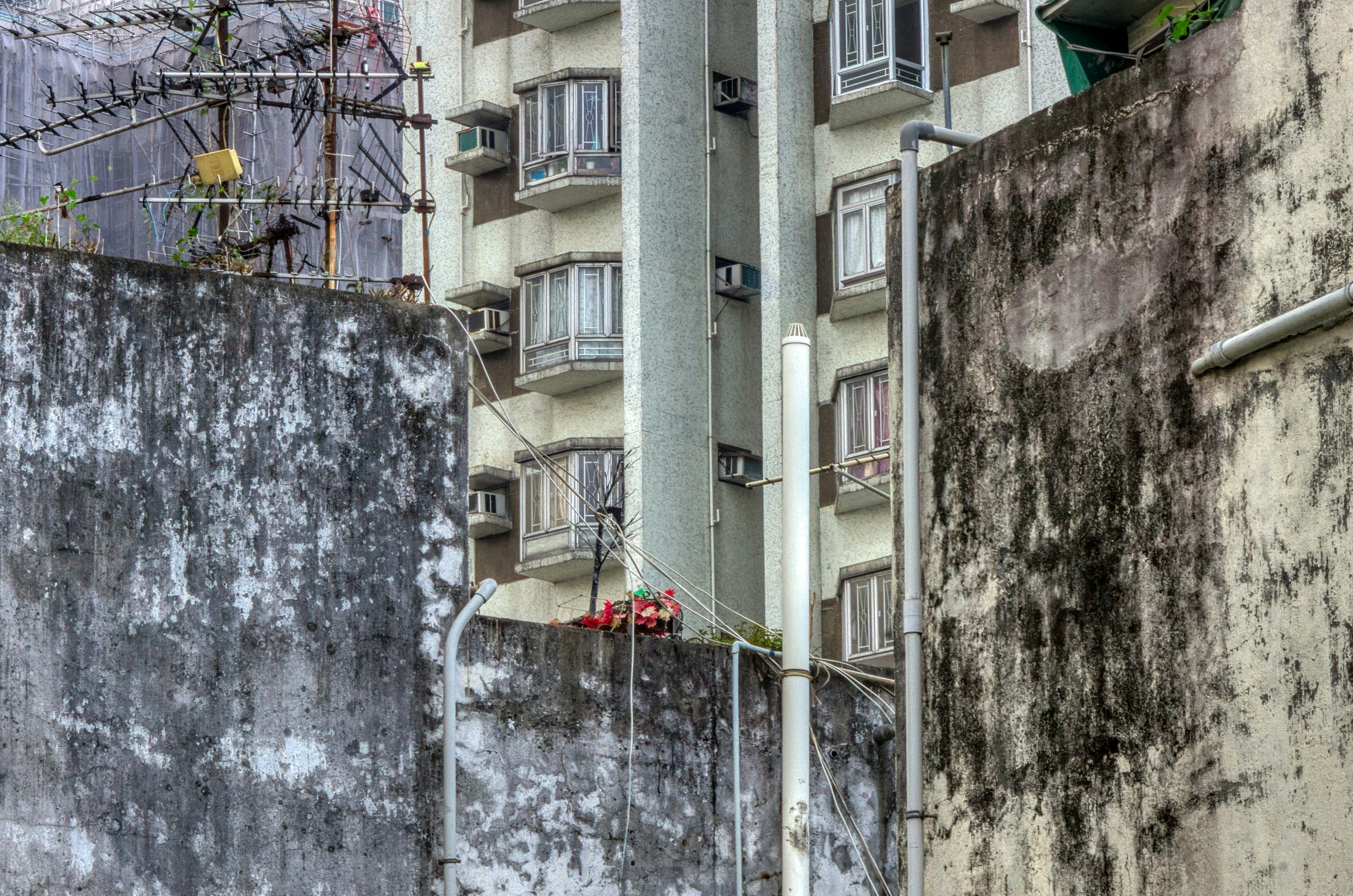 Photo by thomaskinto