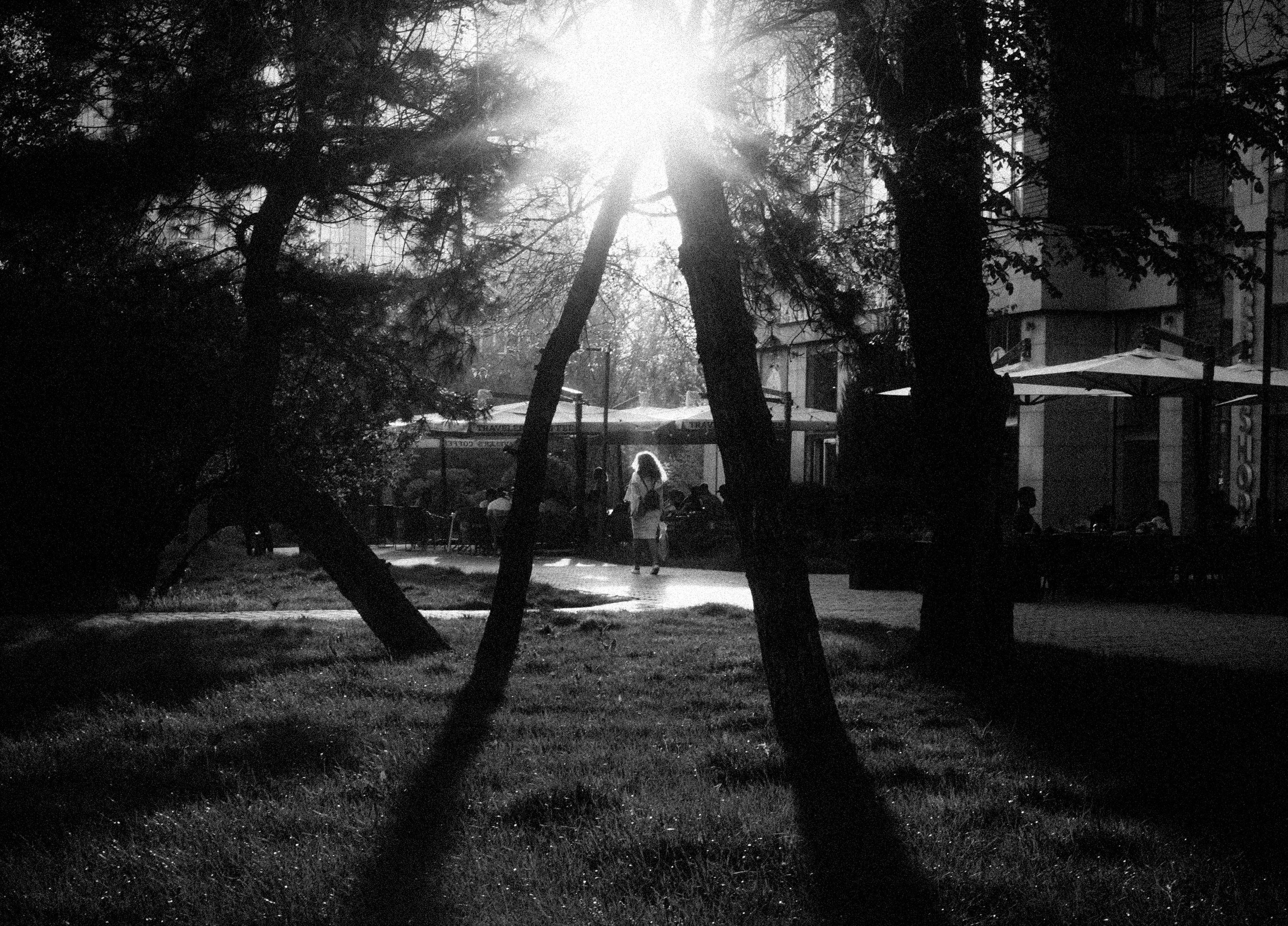 Photo by erneestovna