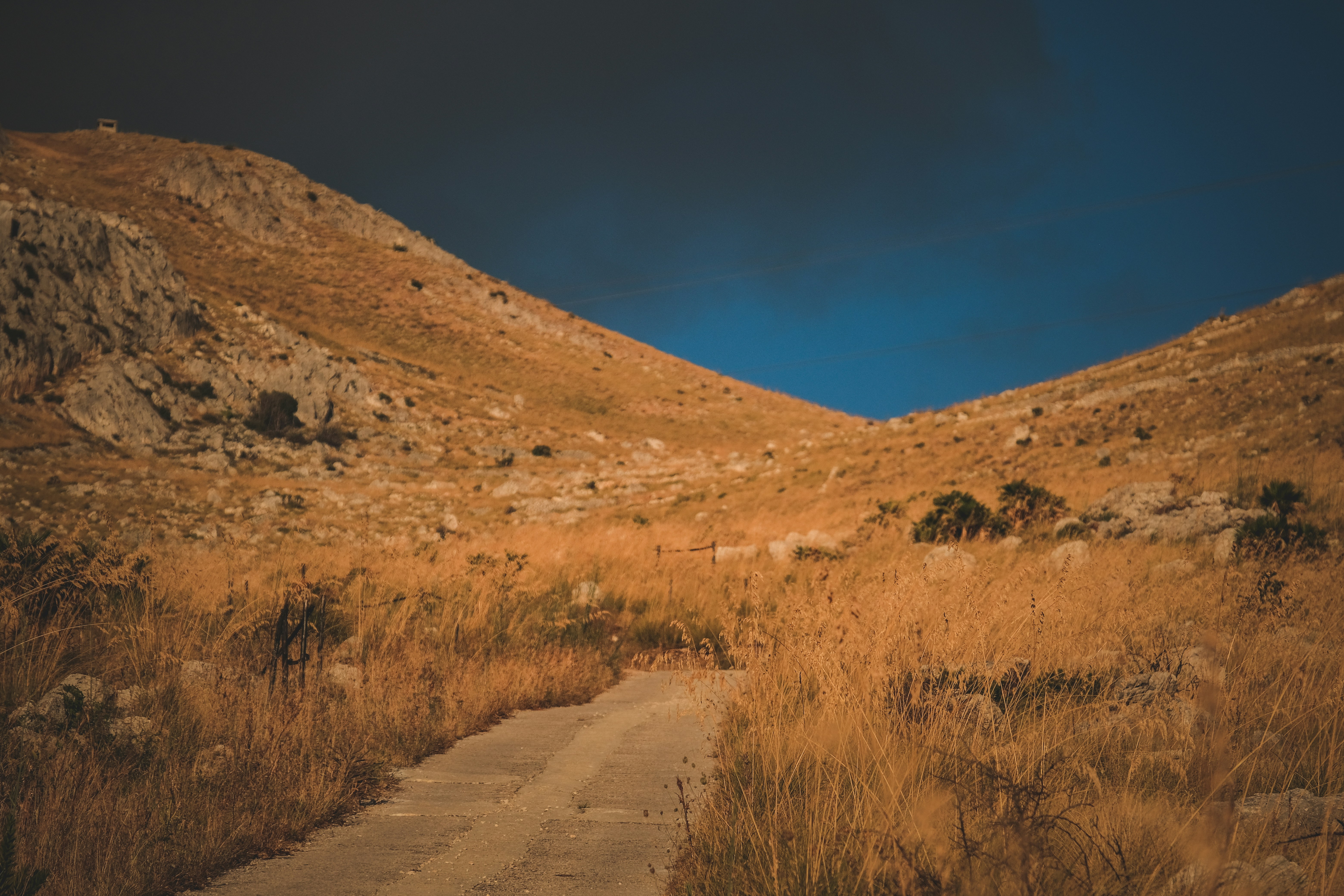 Photo by francesco_ungaro