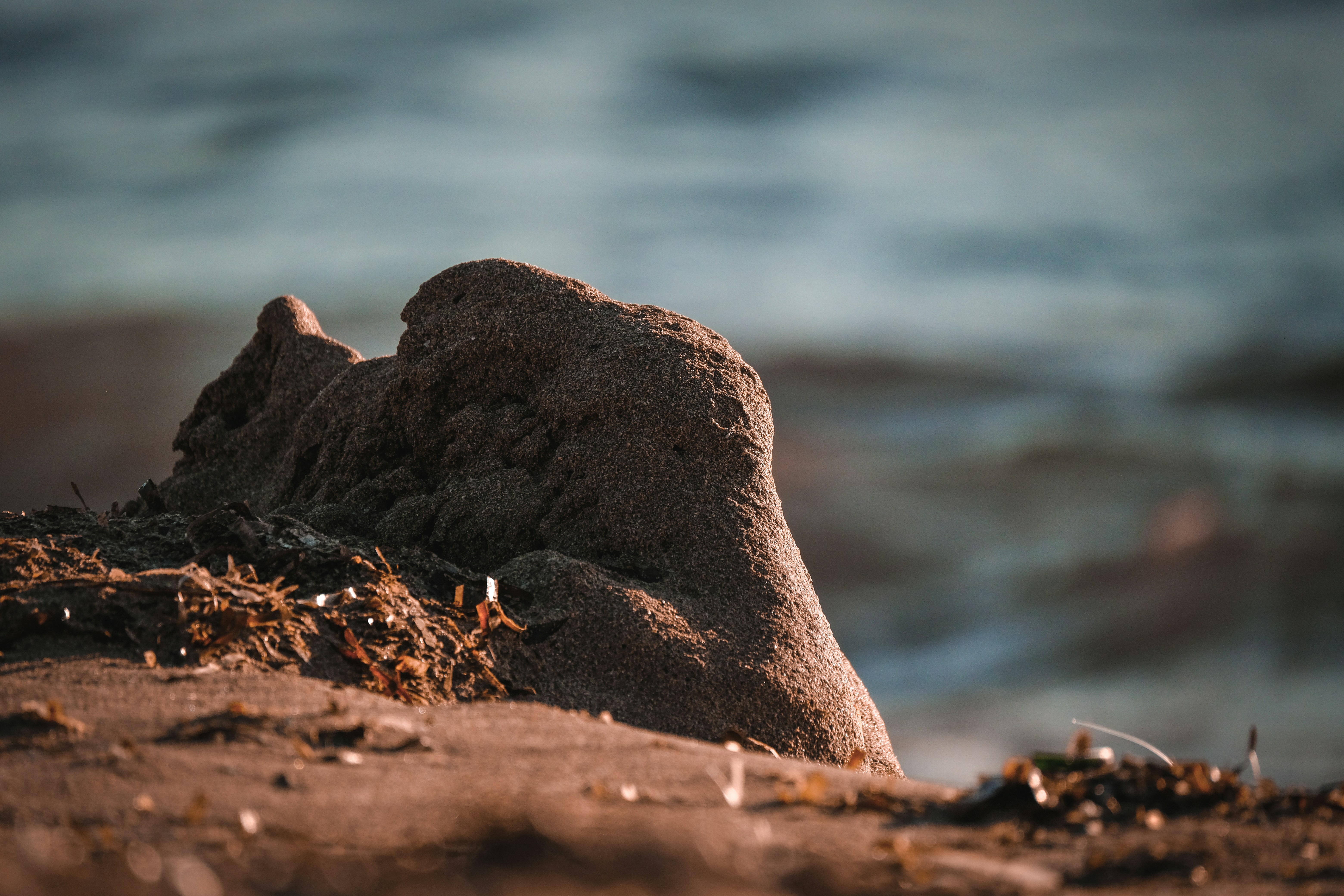 Photo by francesco_ungaro