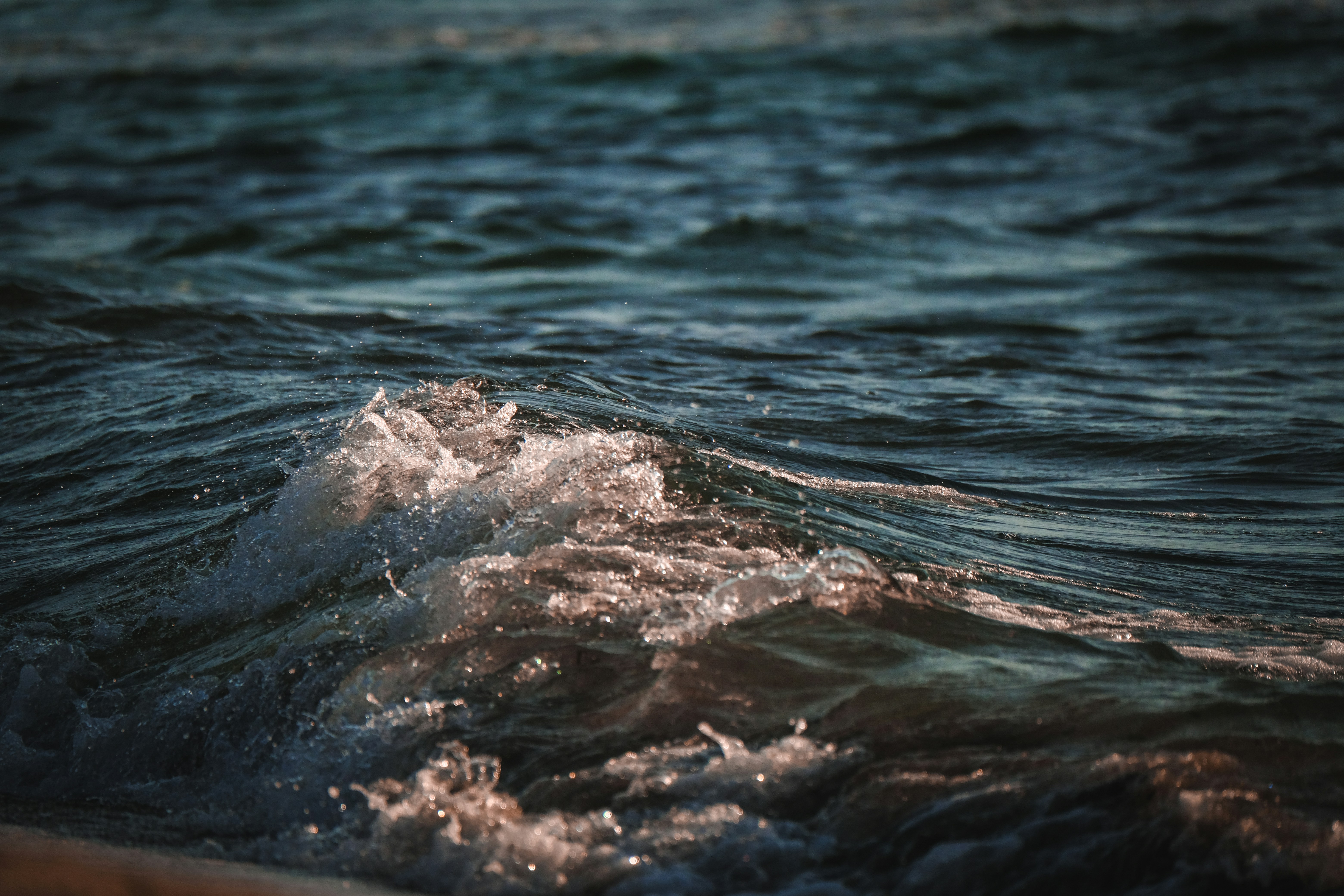 Photo by francesco_ungaro