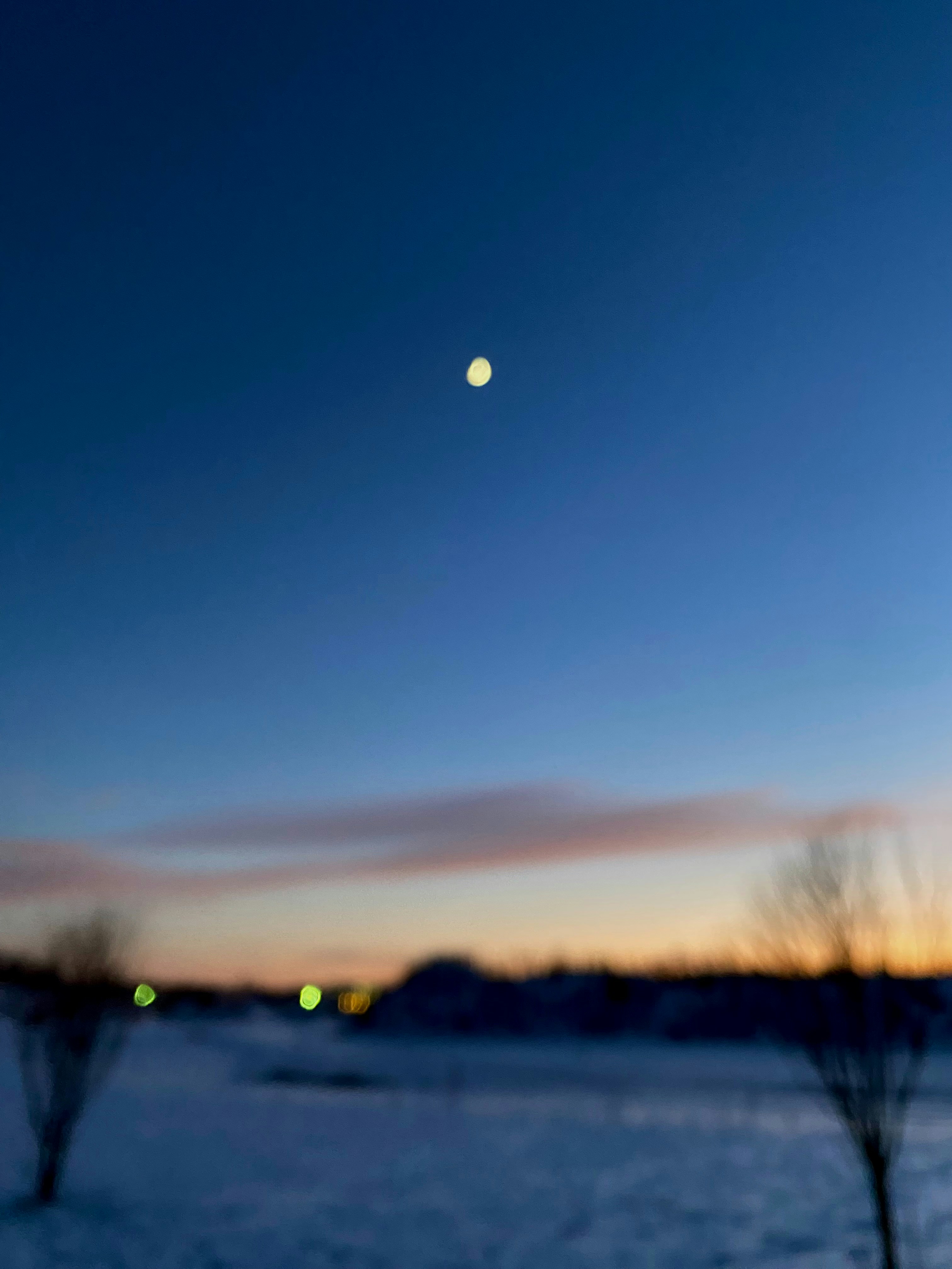 Haute Couture Evening Dress