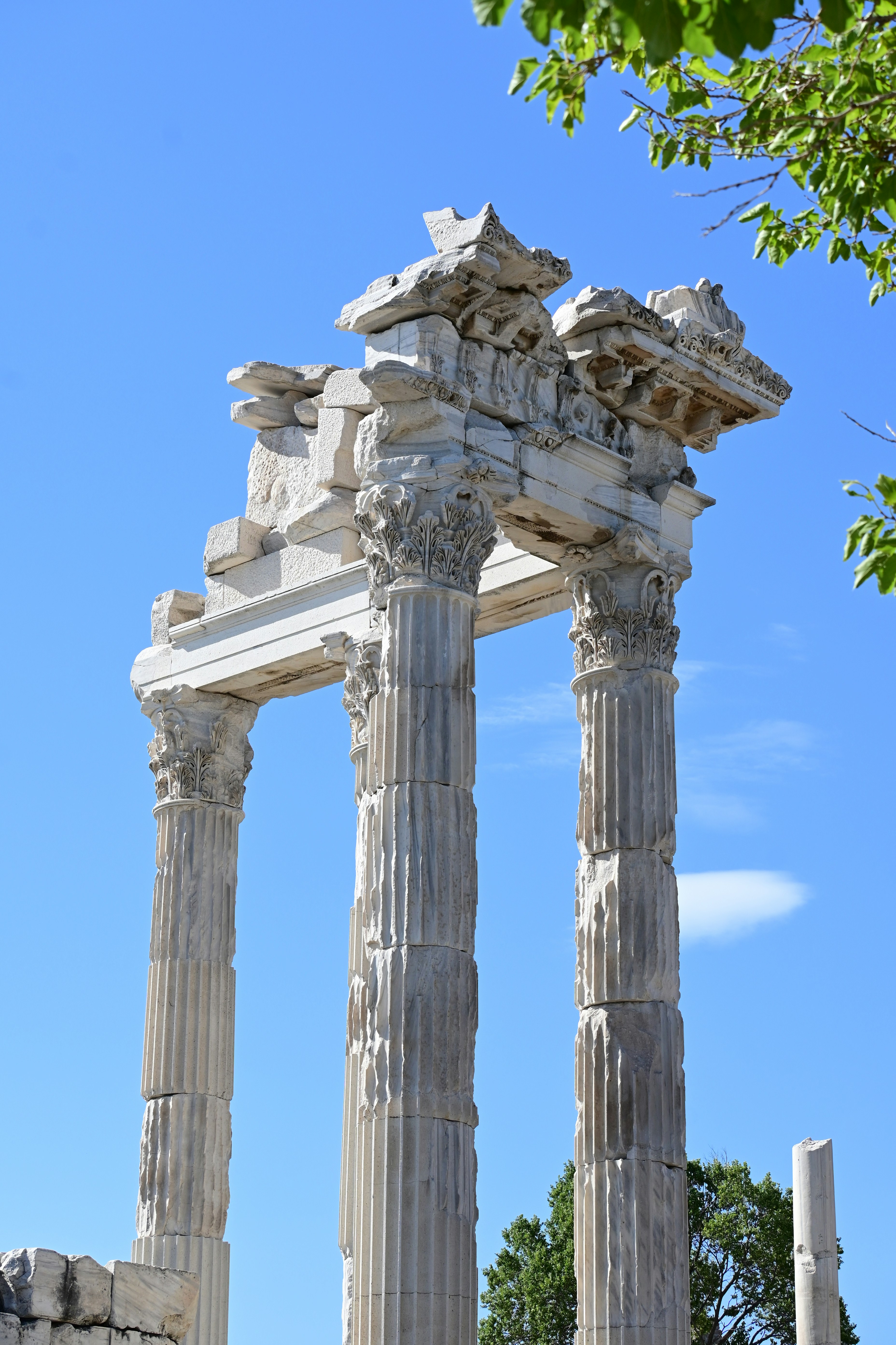 Photo by projectkeno