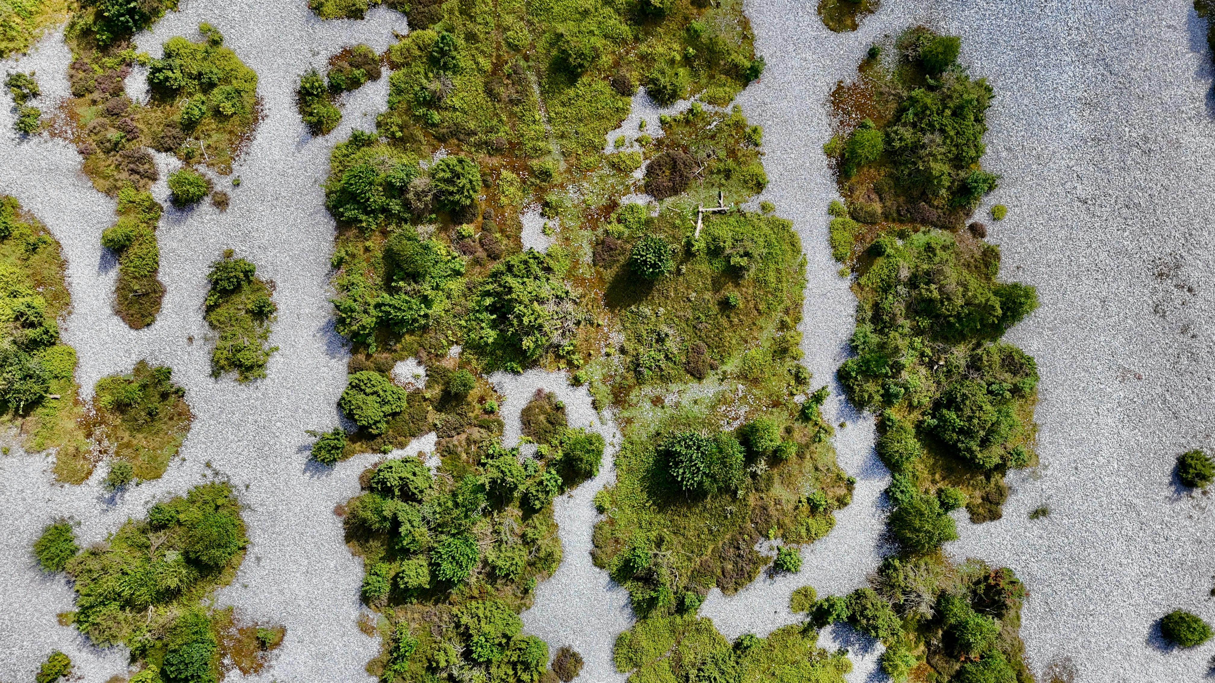 Photo by maximilian_brand