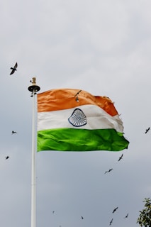 A flag flying in the wind with birds flying in the background