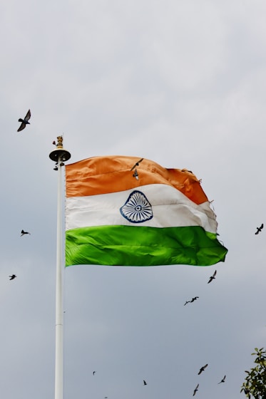 A flag flying in the wind with birds flying in the background