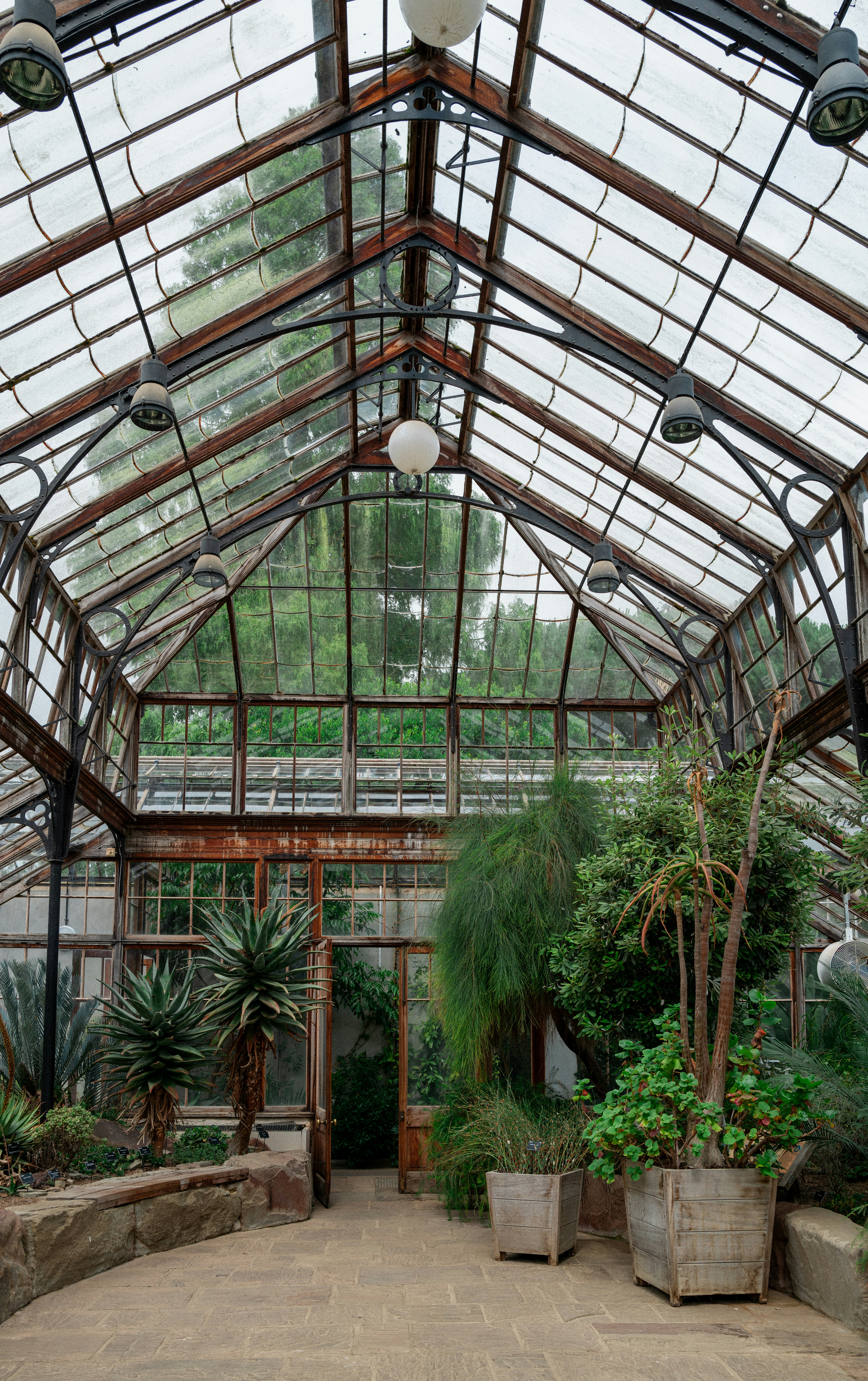 A greenhouse with lots of plants inside of it