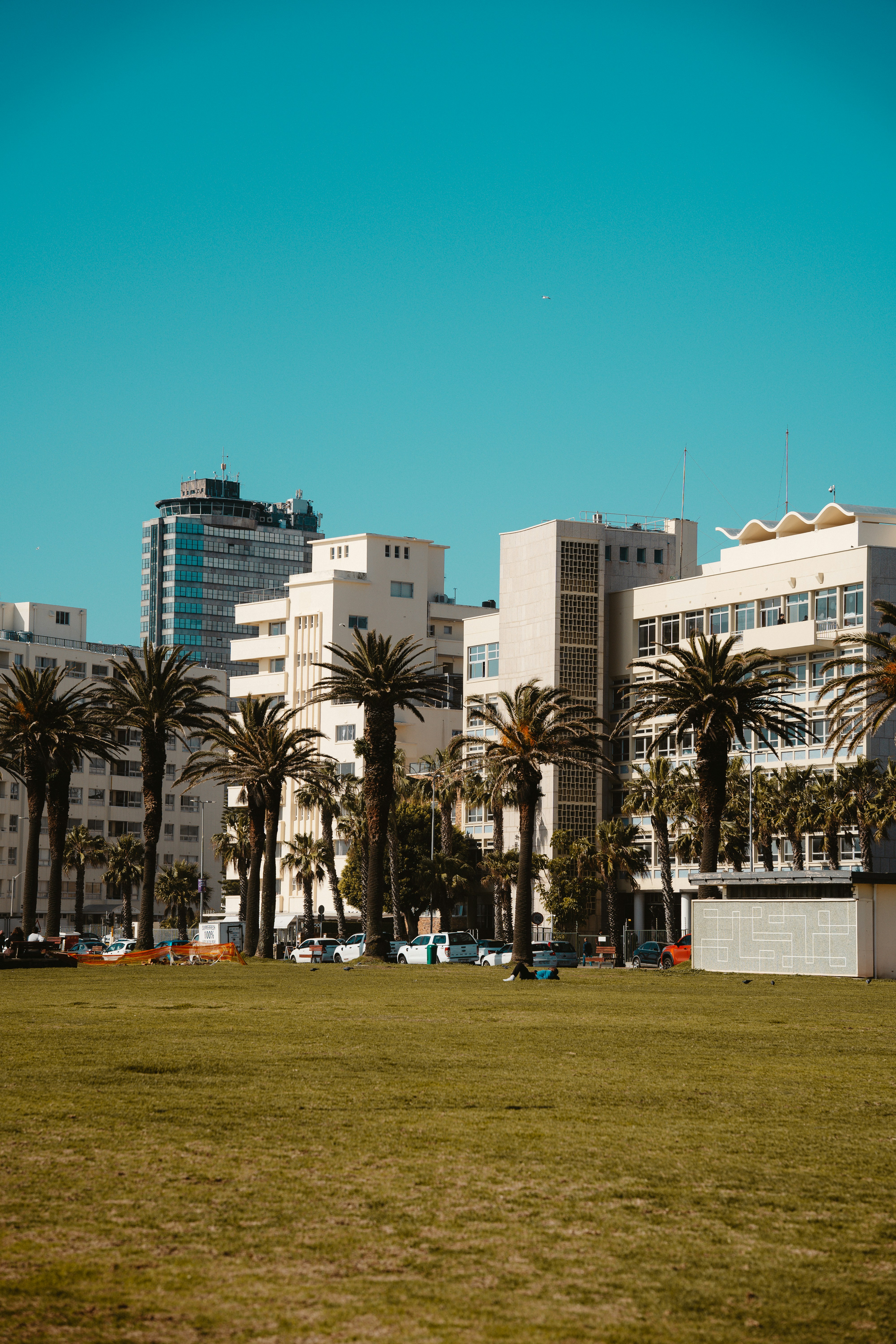 A grassy field with palm trees and buildings in the background