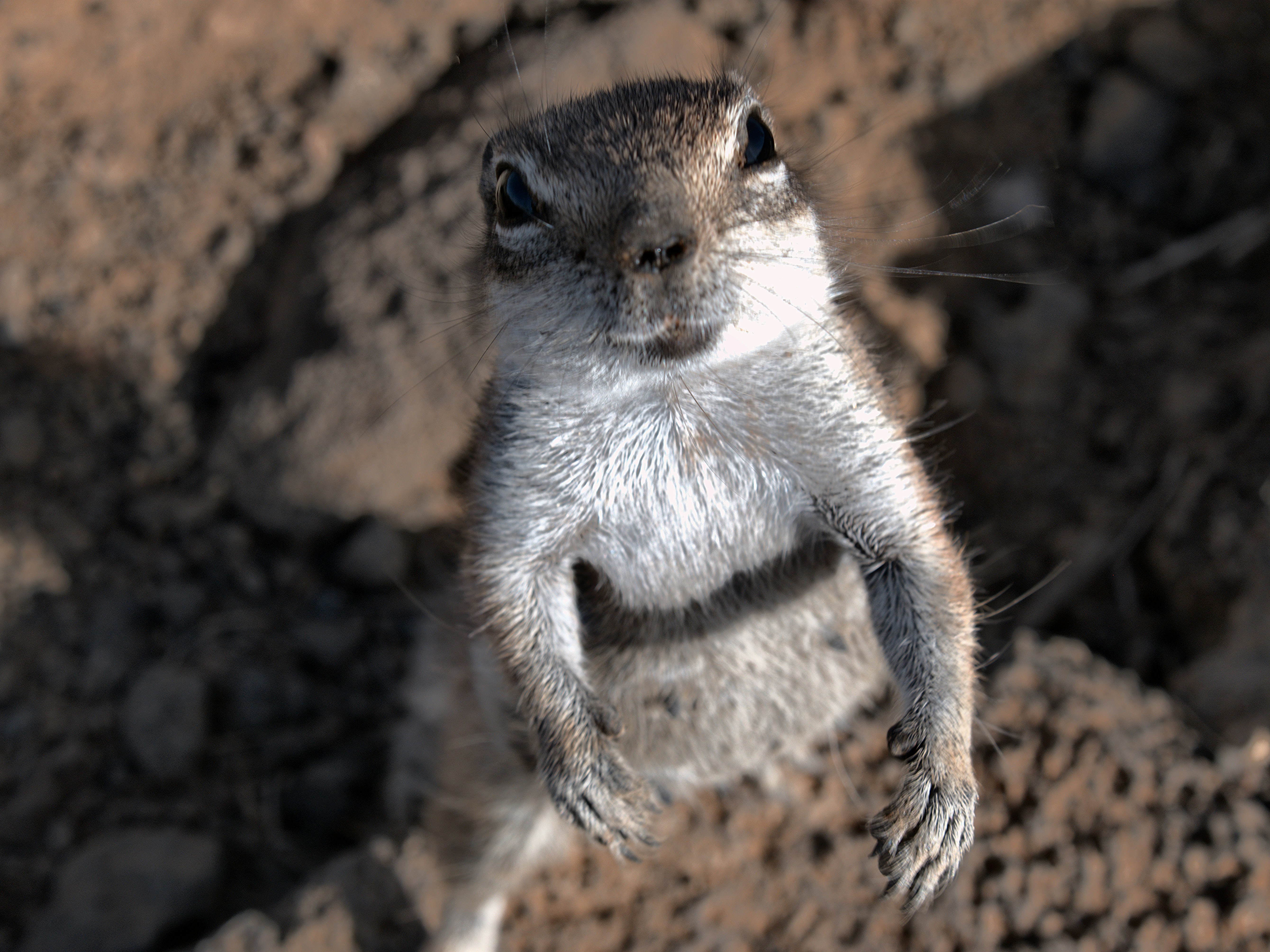 Photo by daniel_1984