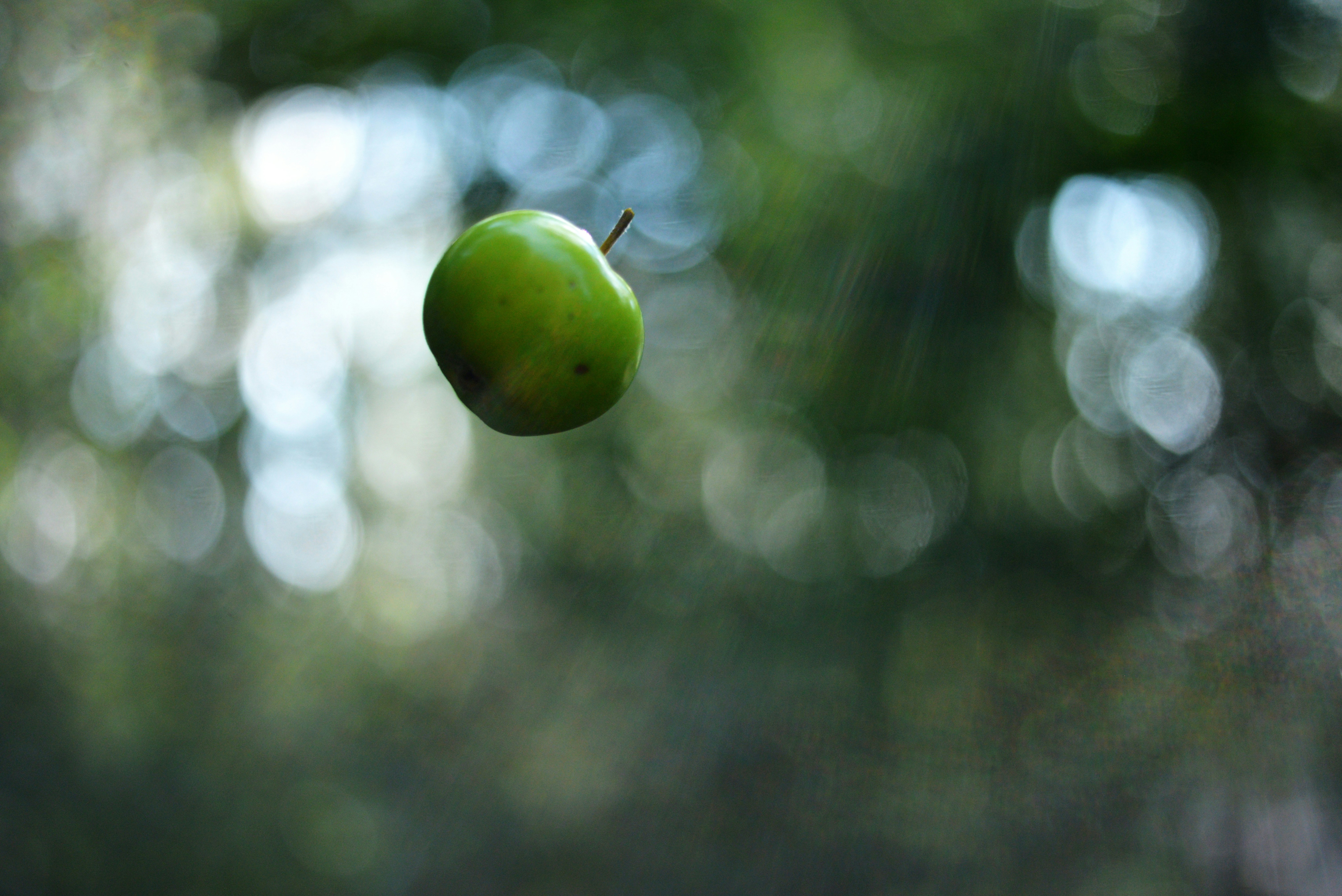 What Are Gravitational Waves?