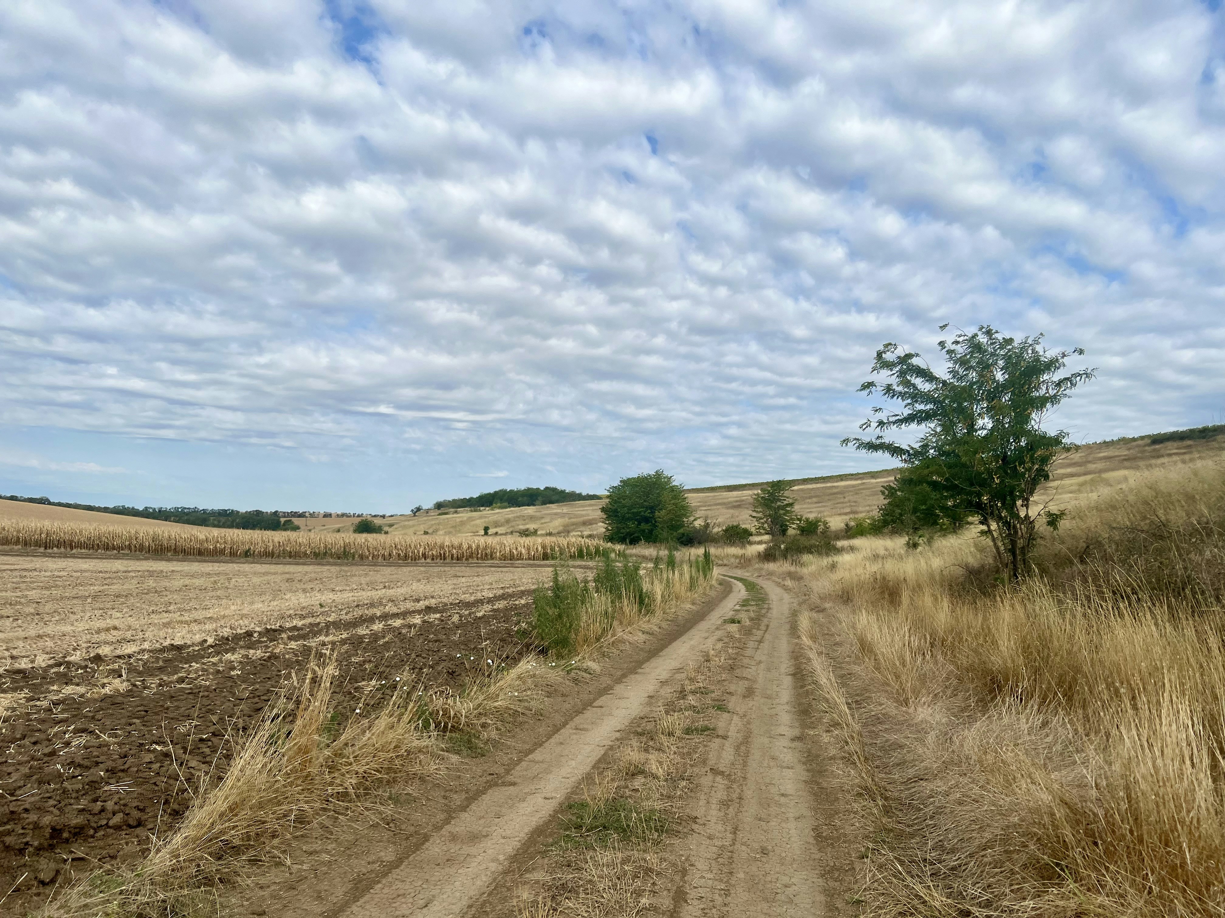 농업경영체 등록 시 필요한 서류는 무엇이 있나요