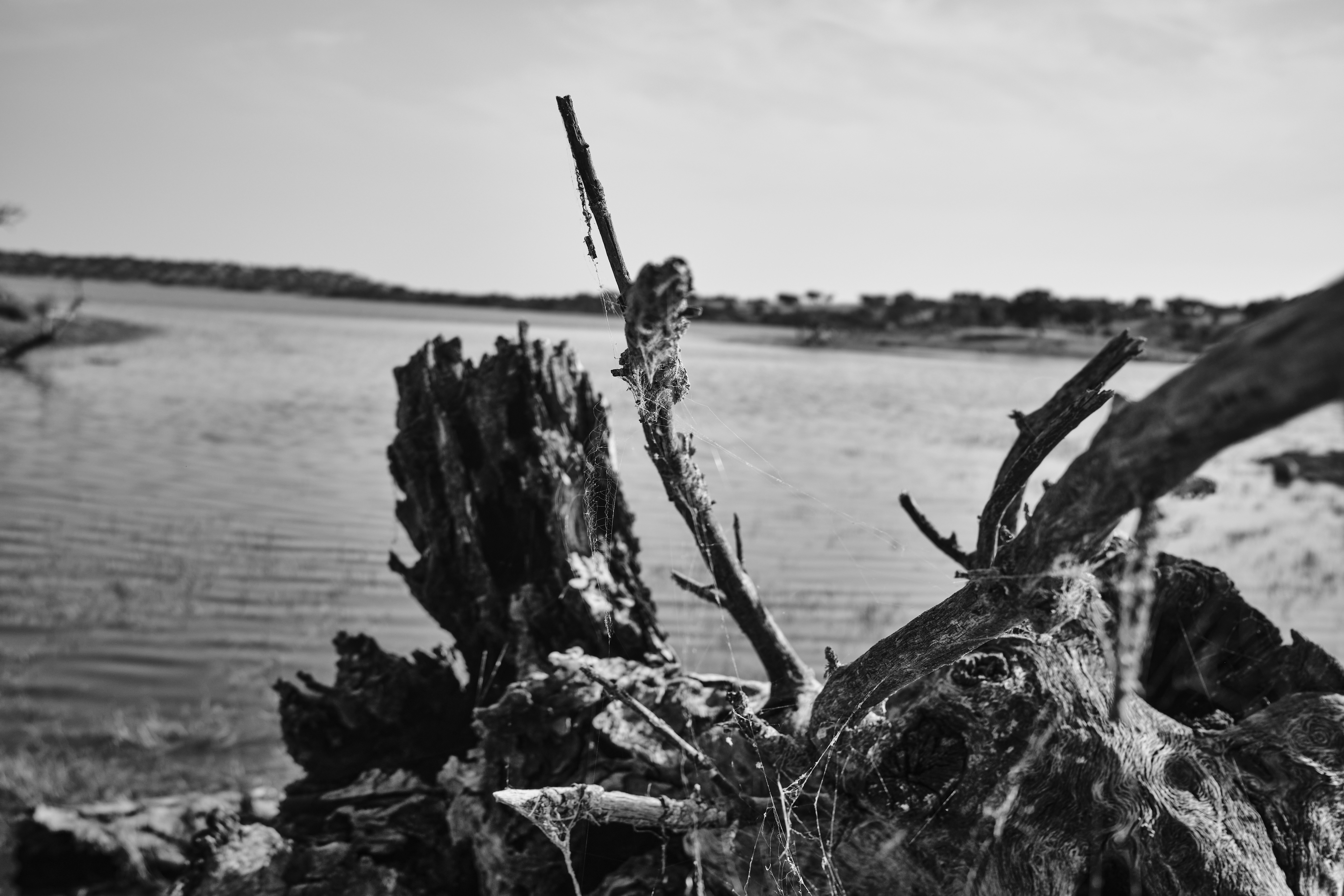 Photo by joaopratsphotography