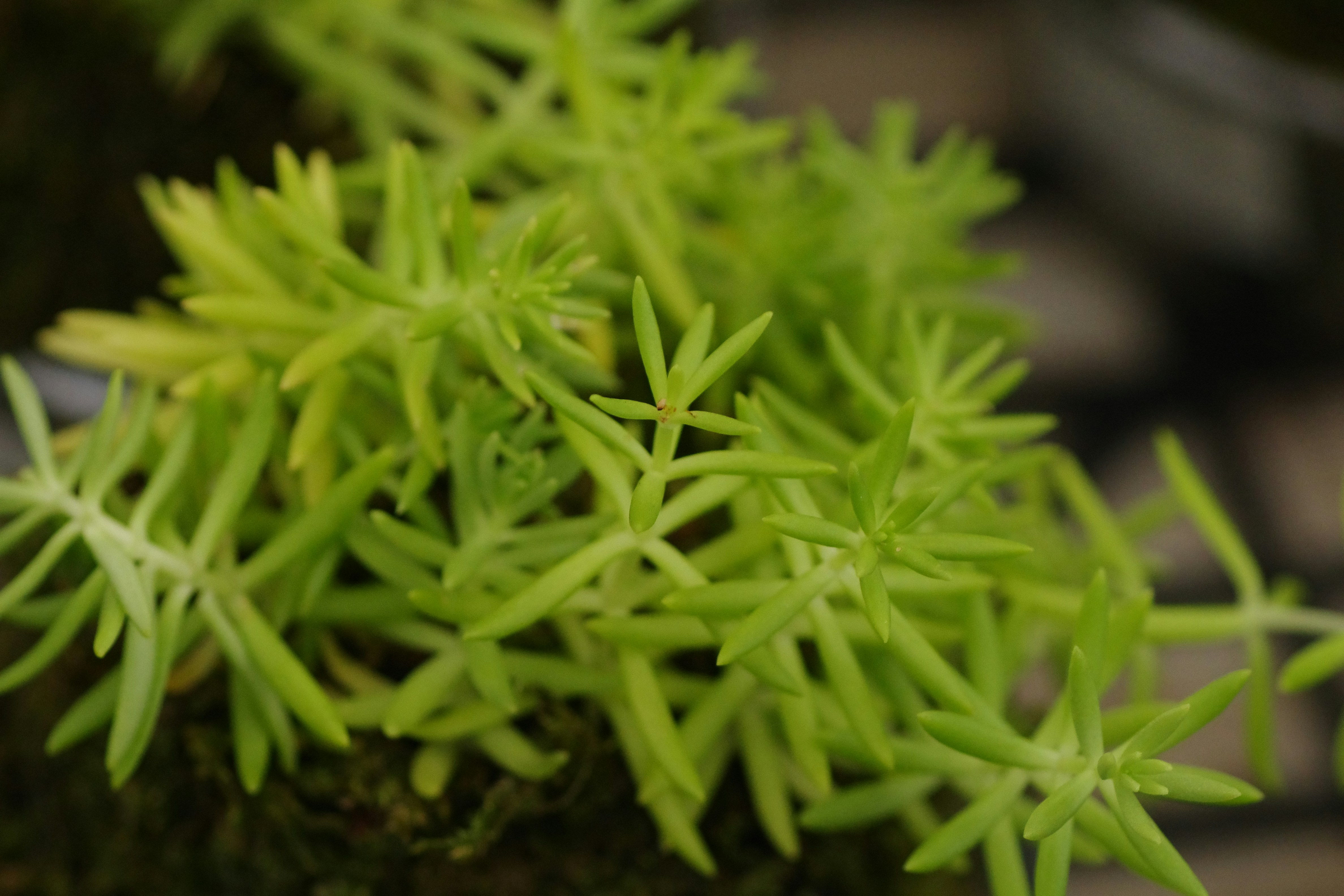 媽啊！這5個家居秘技，99%的人都做錯了！你家還在花冤枉錢？