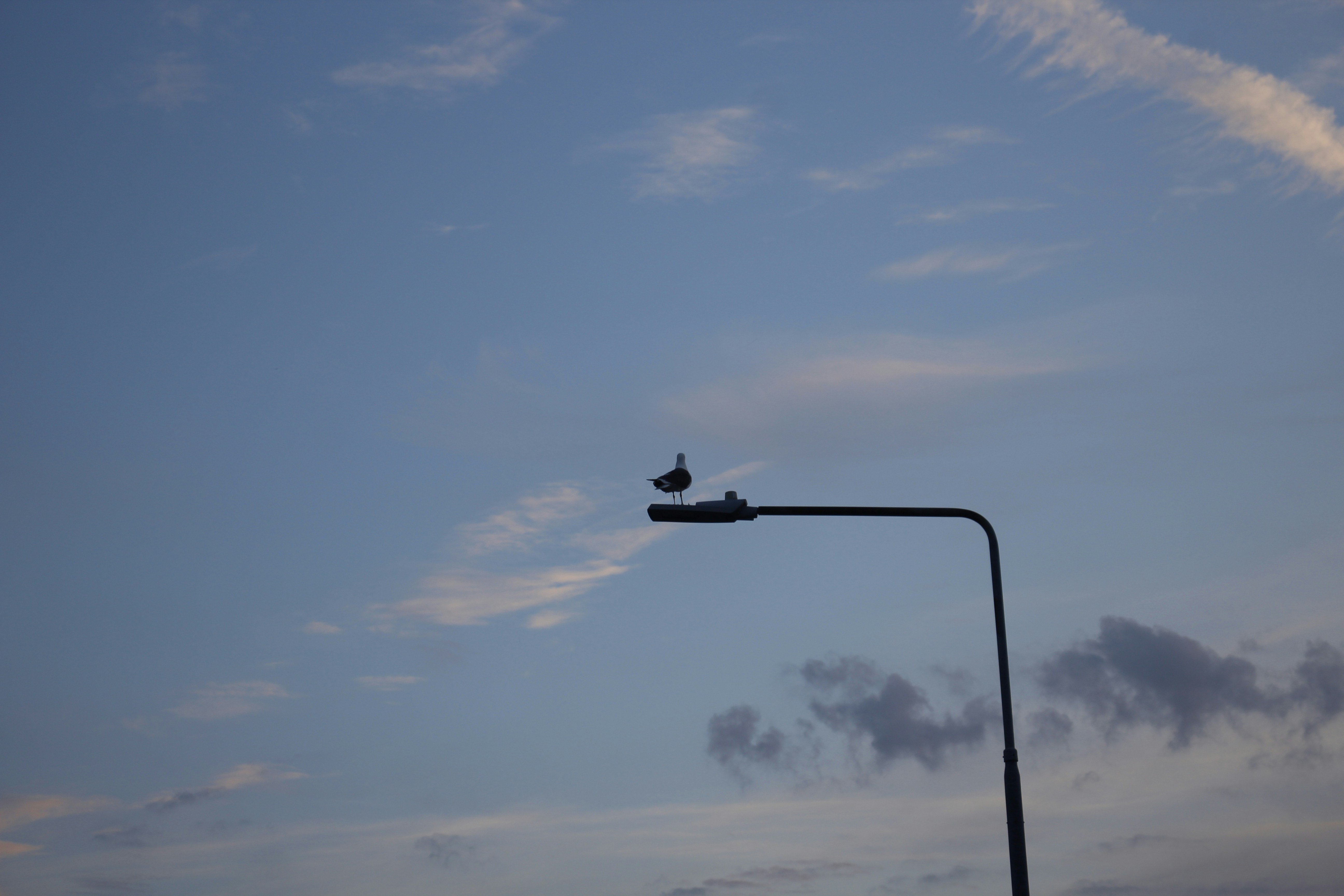 Photo by bloominghyacinth