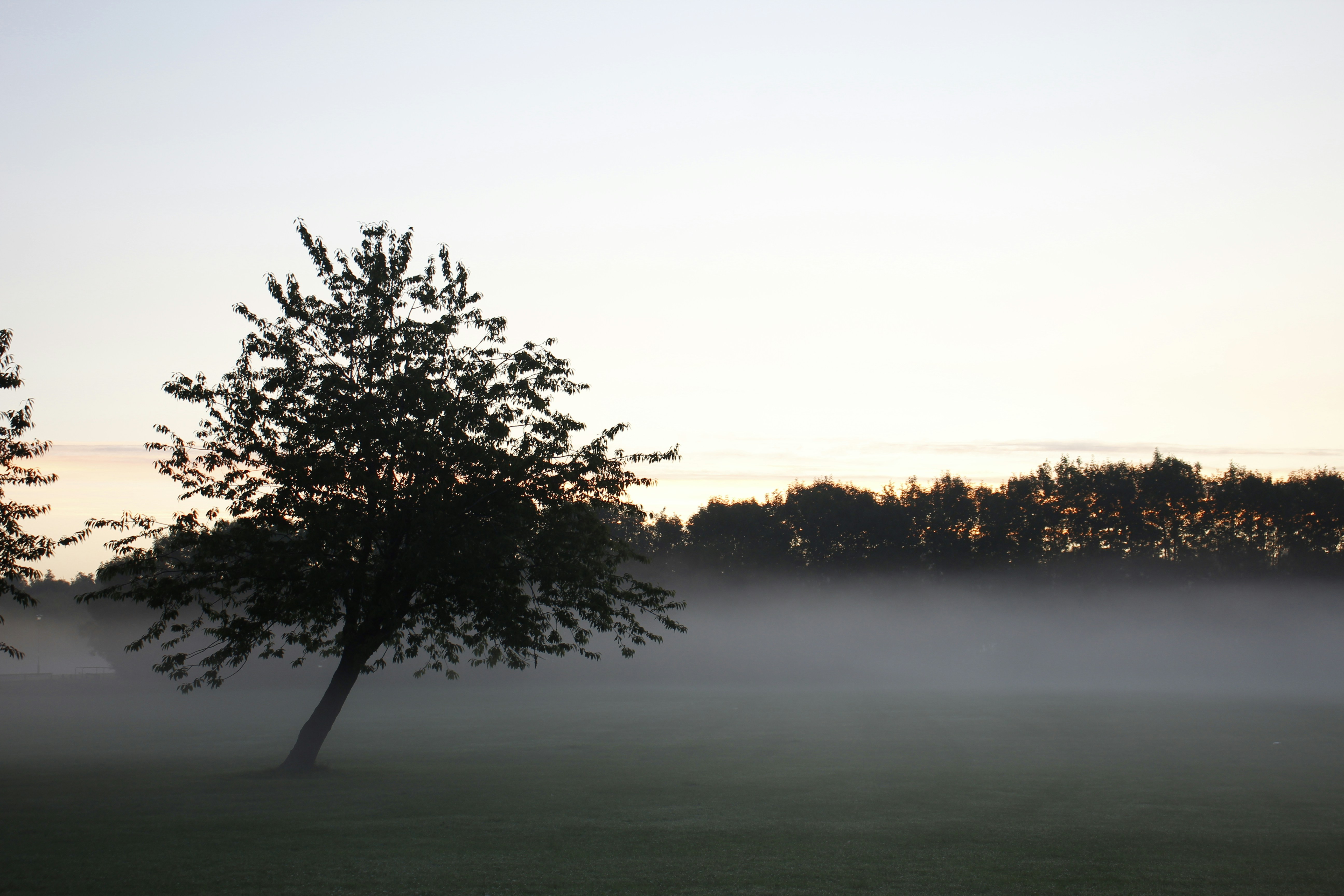 Photo by bloominghyacinth