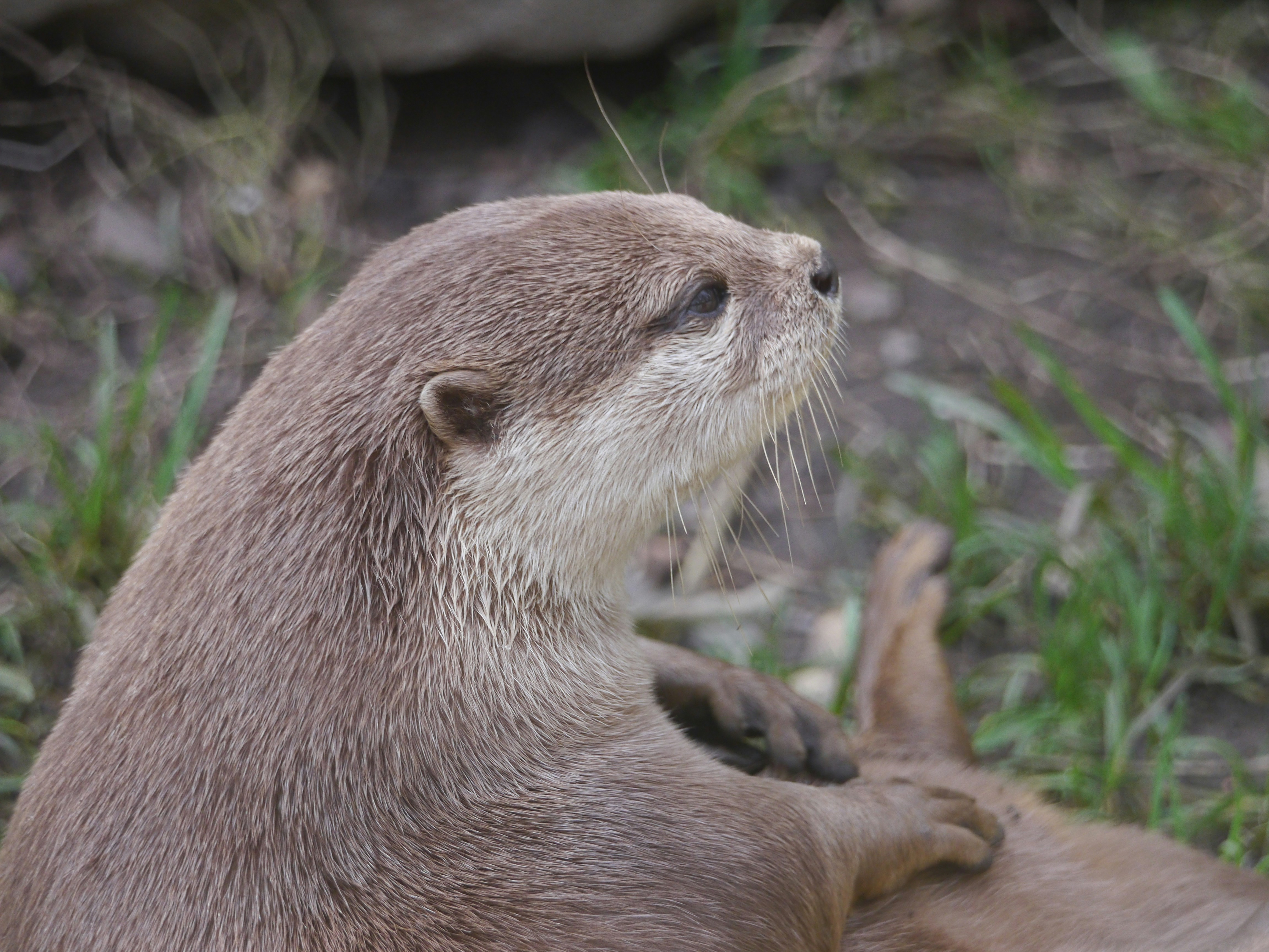 Photo by iqsphotography