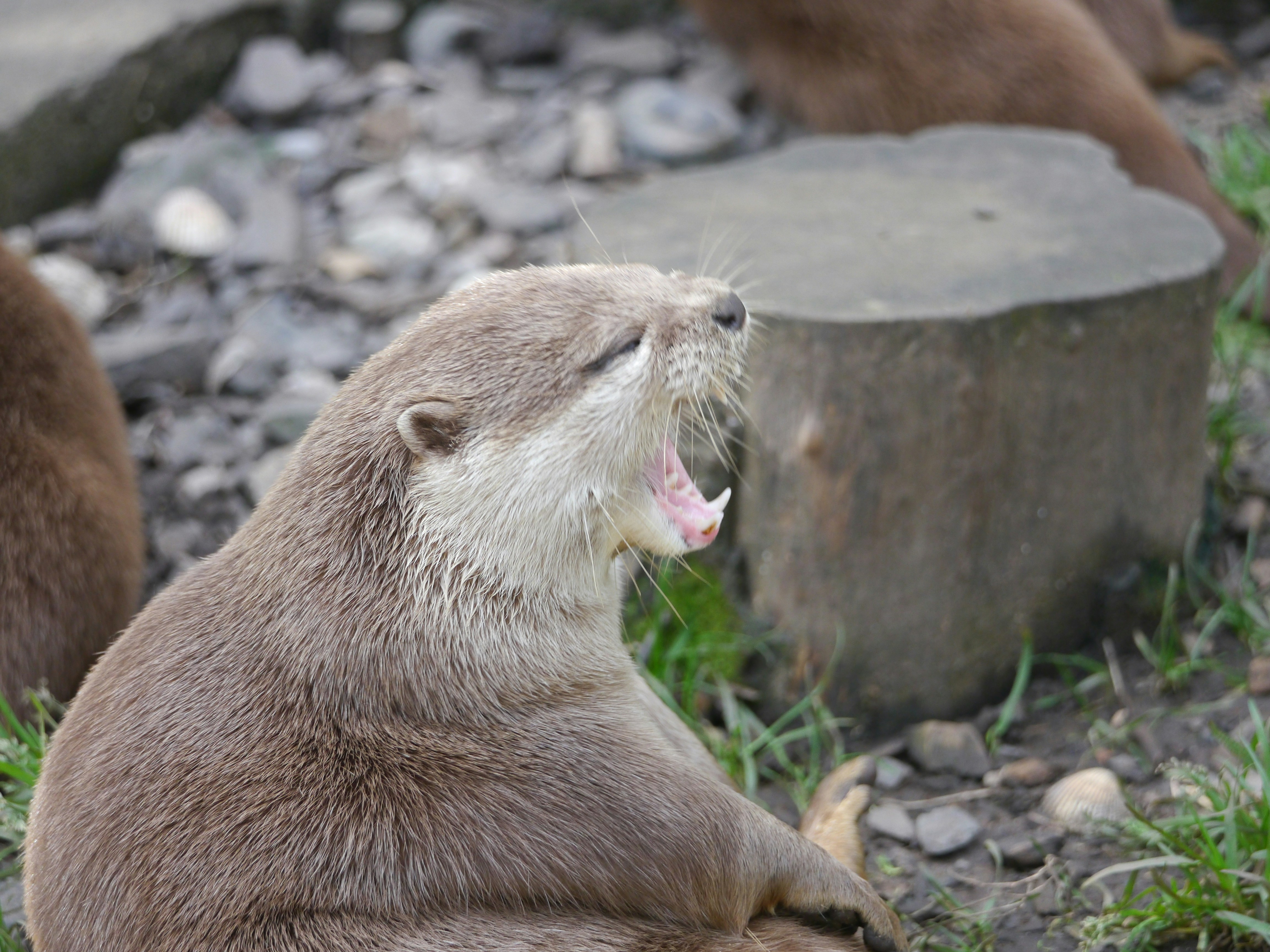 Photo by iqsphotography