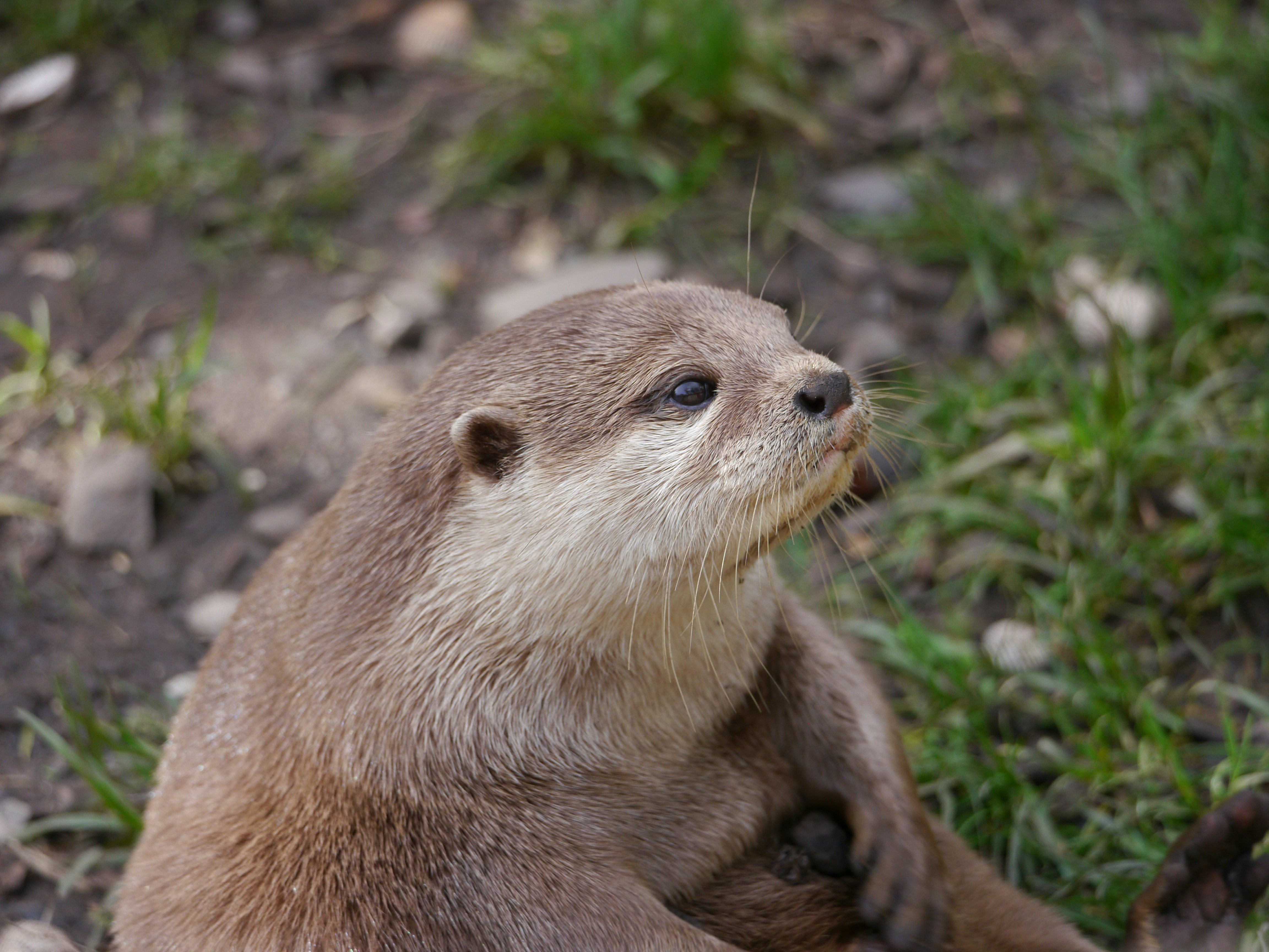 Photo by iqsphotography