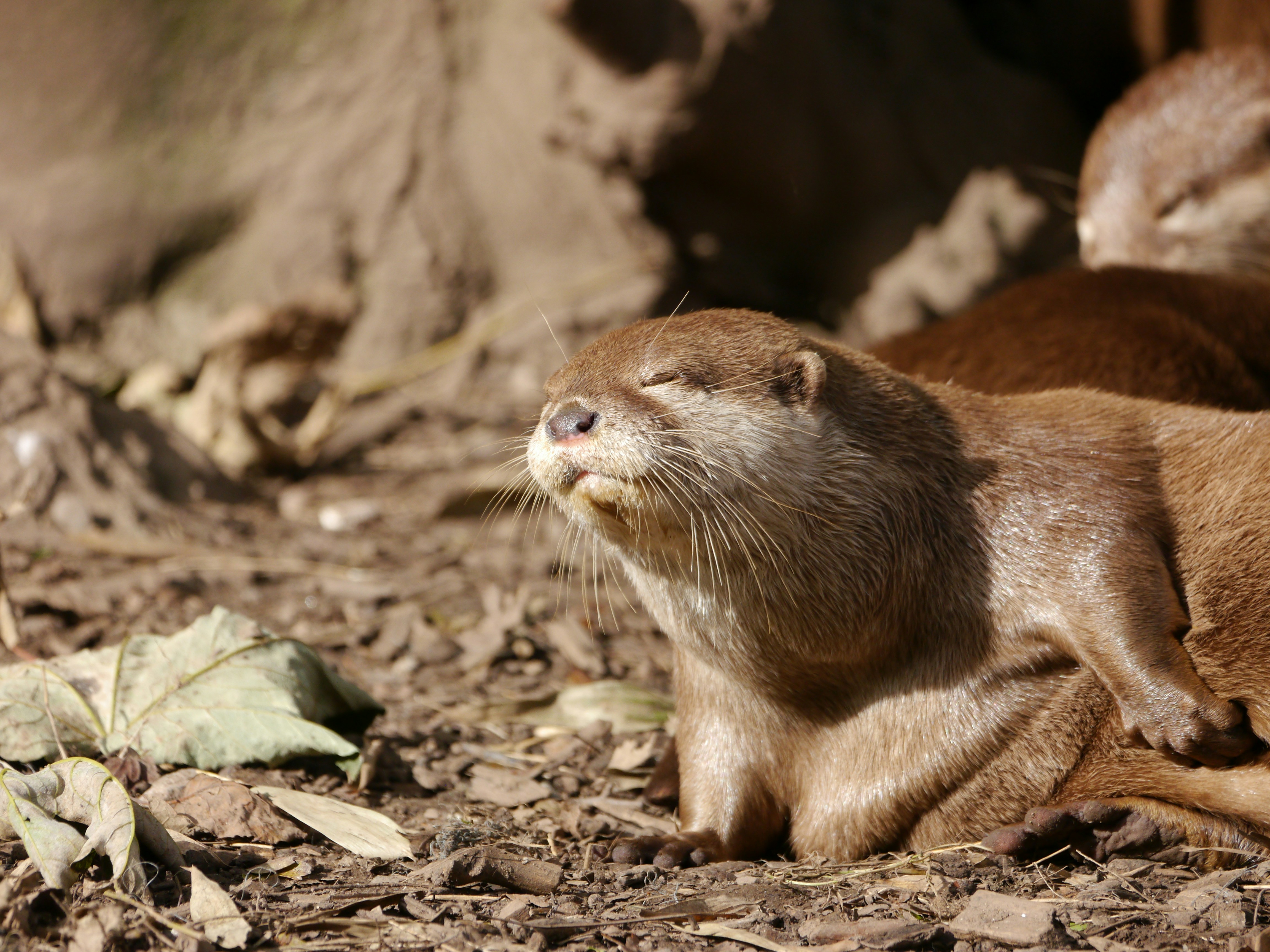 Photo by iqsphotography