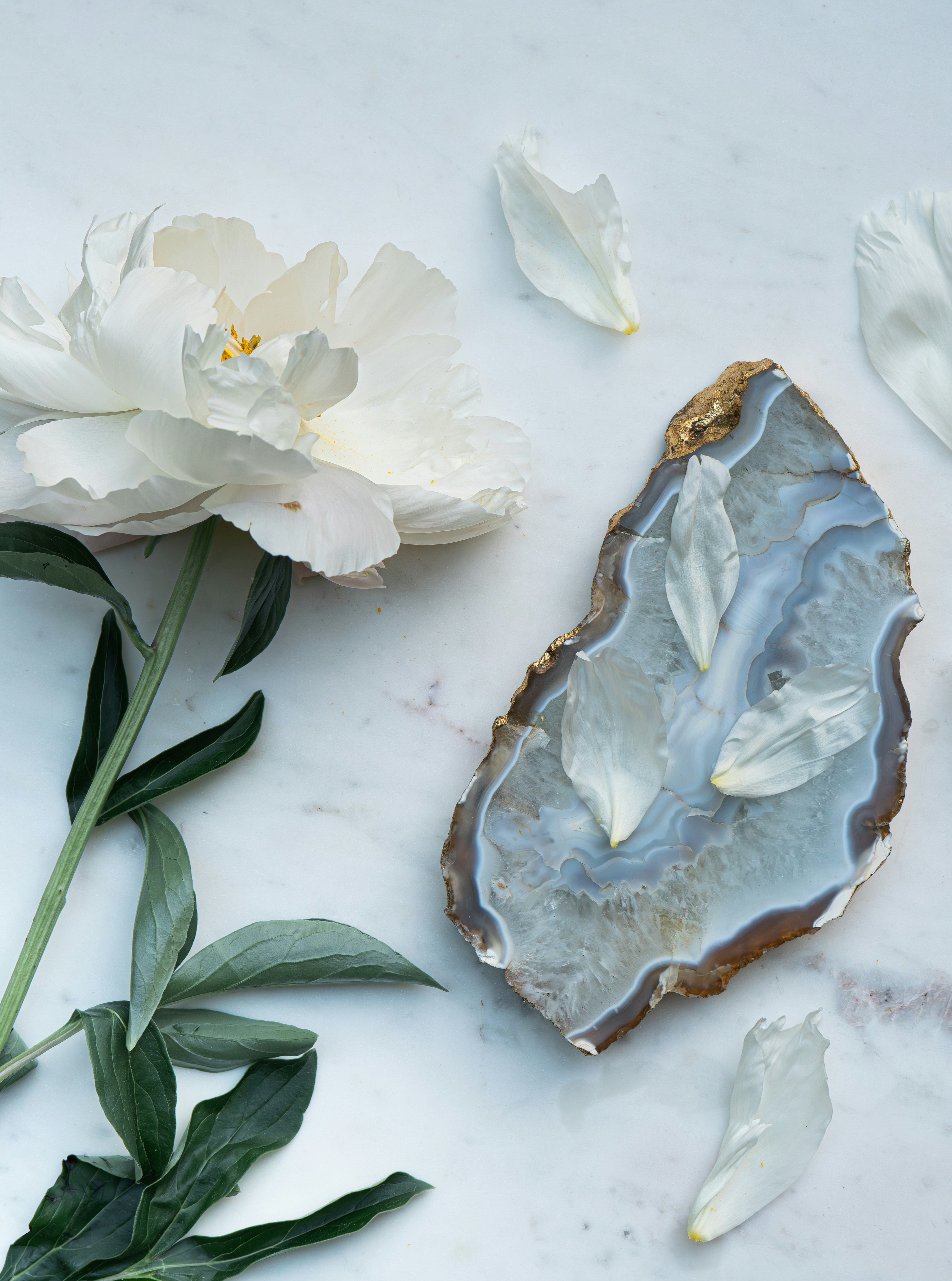 Photo by lana_laurentez