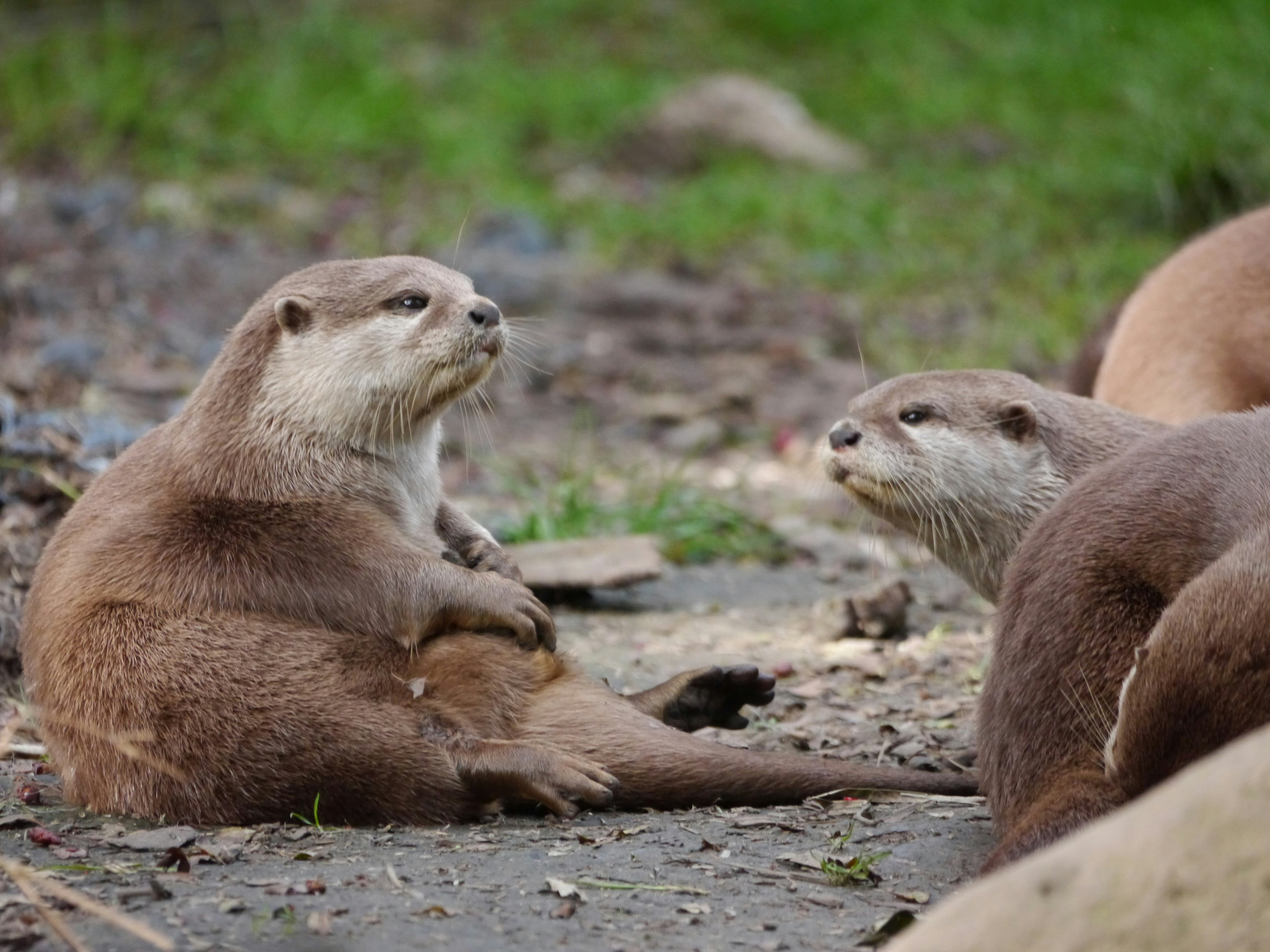 Dave Grohl's Shocking Confession: Fathering a Child Outside of Marriage