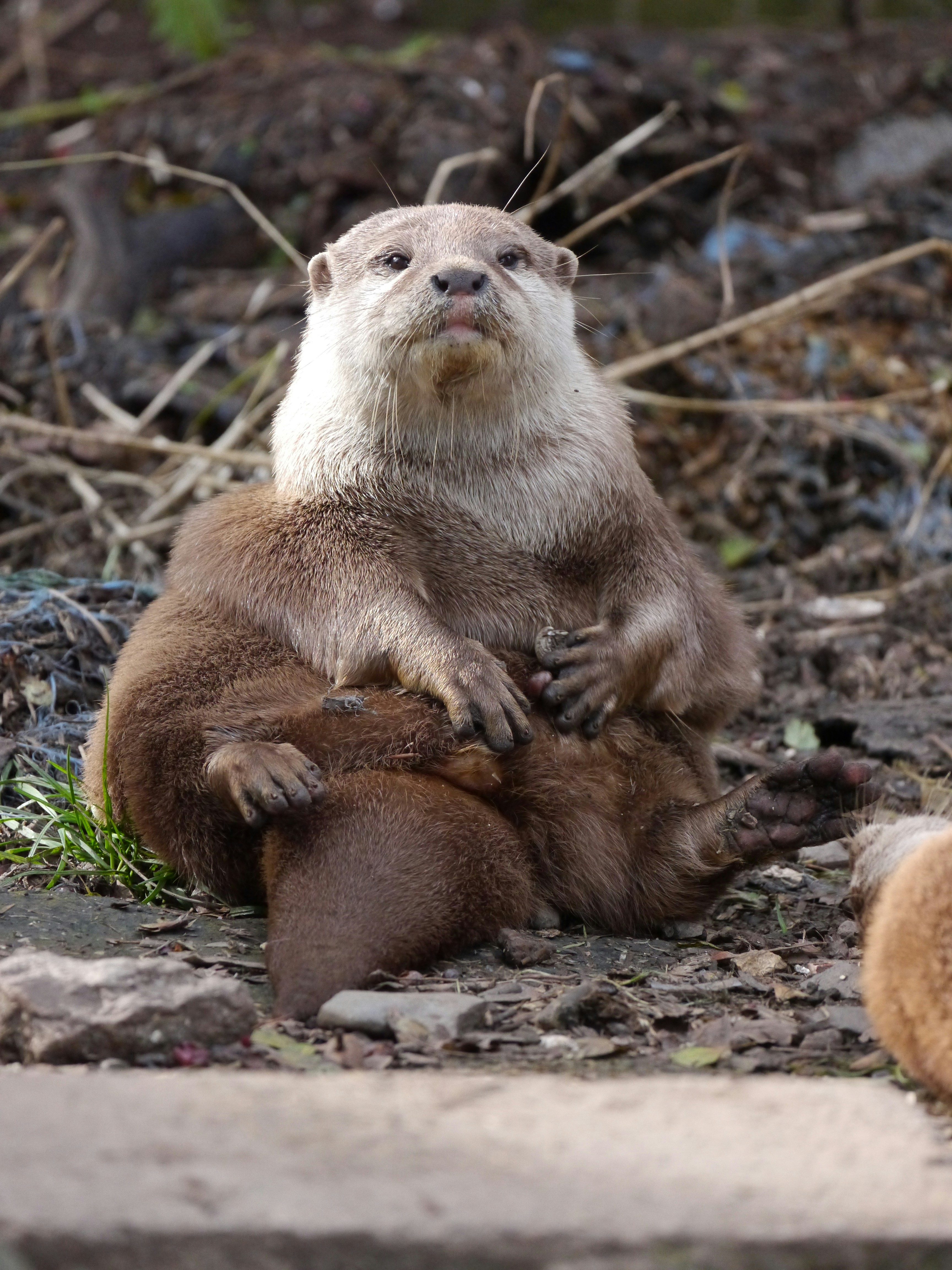 Photo by iqsphotography