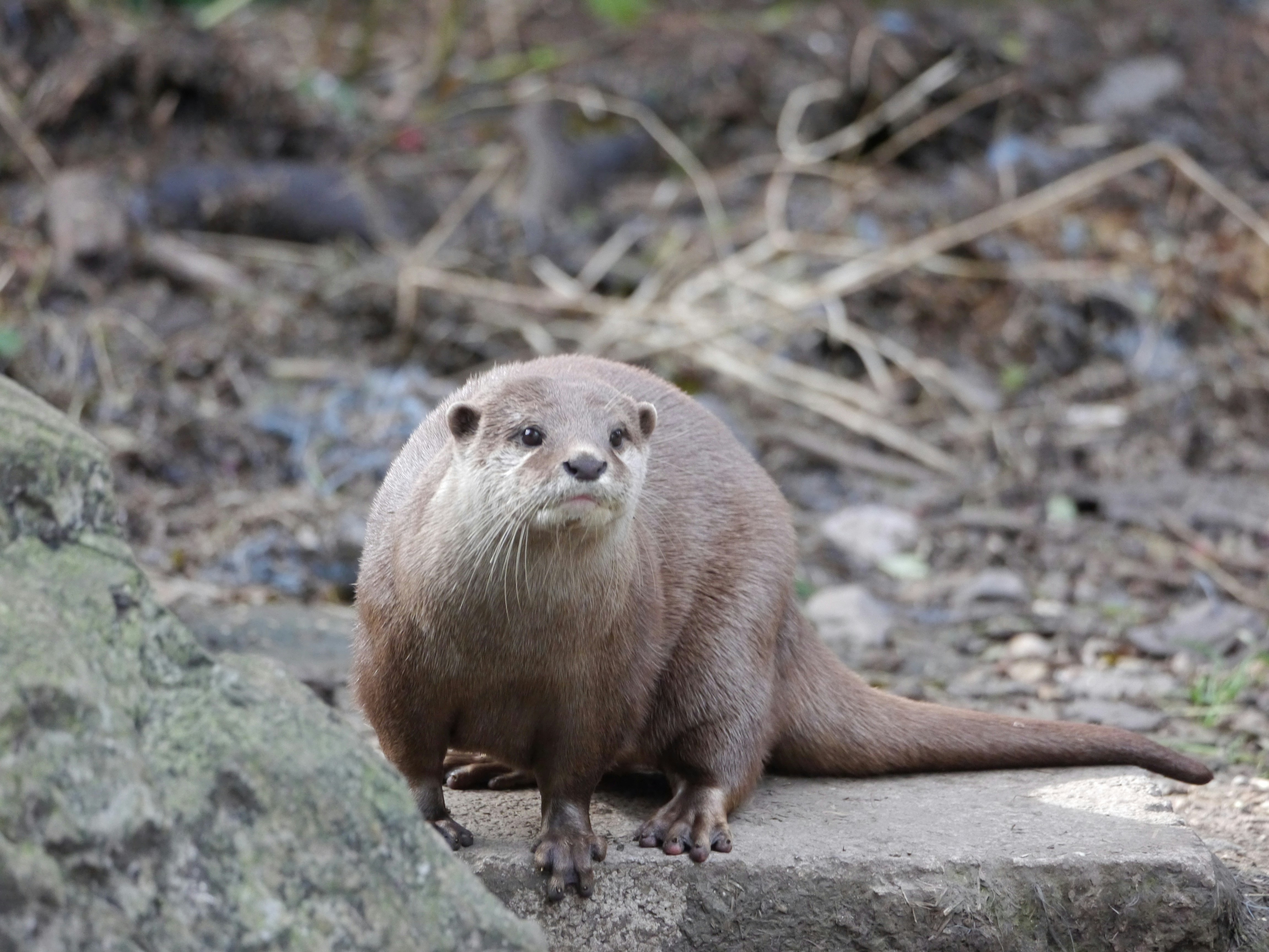 Photo by iqsphotography