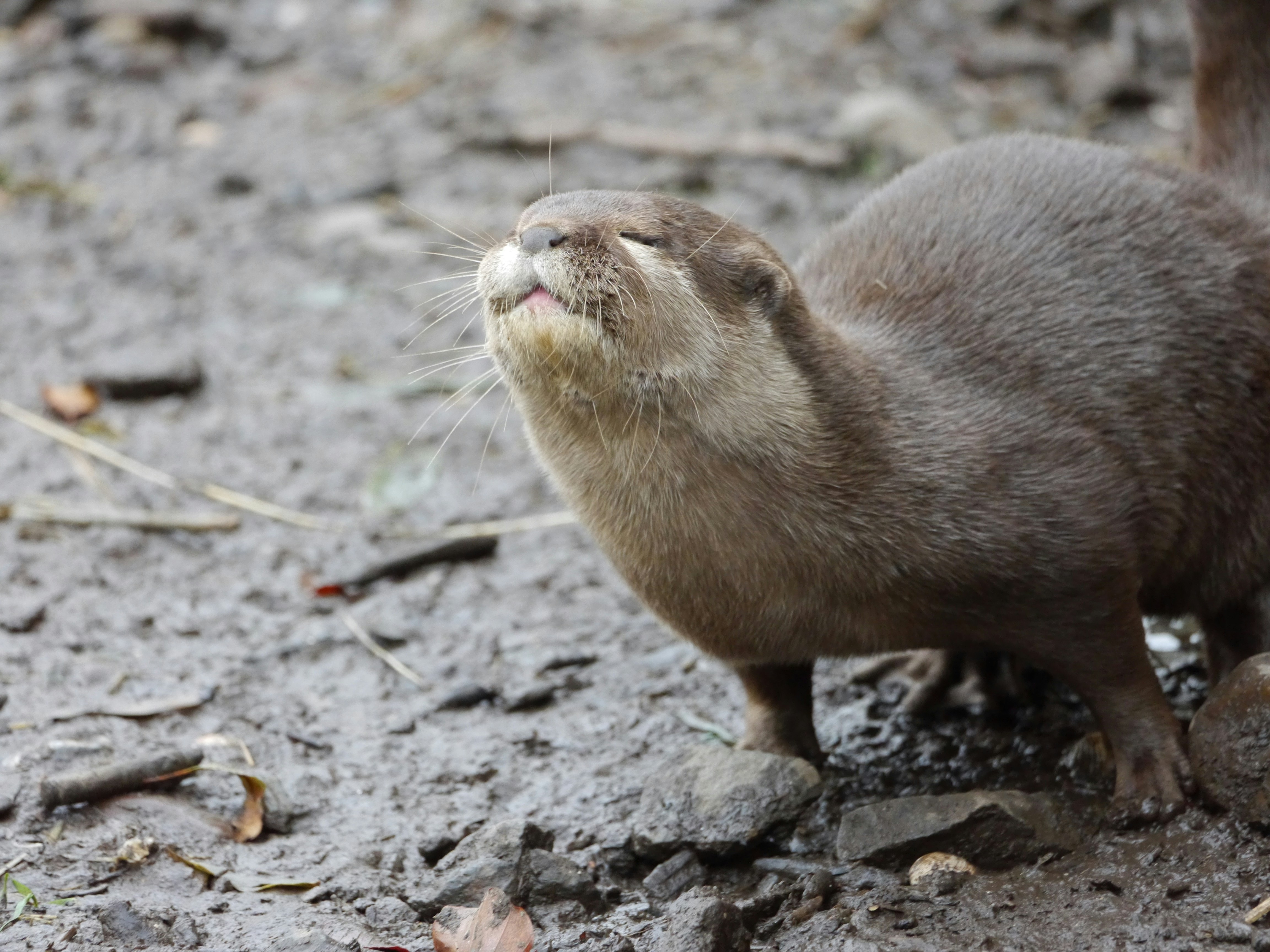 Photo by iqsphotography