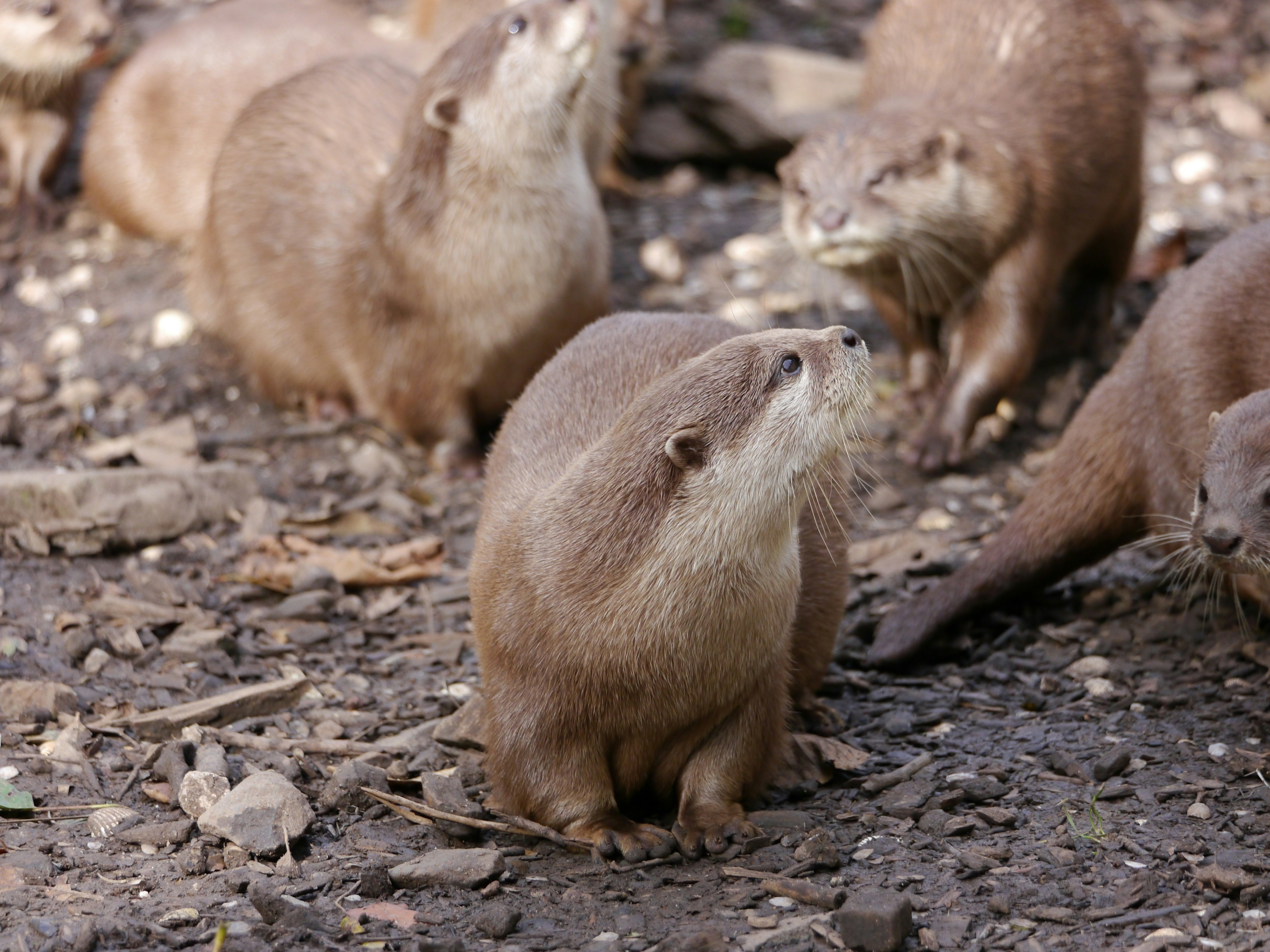 Photo by iqsphotography