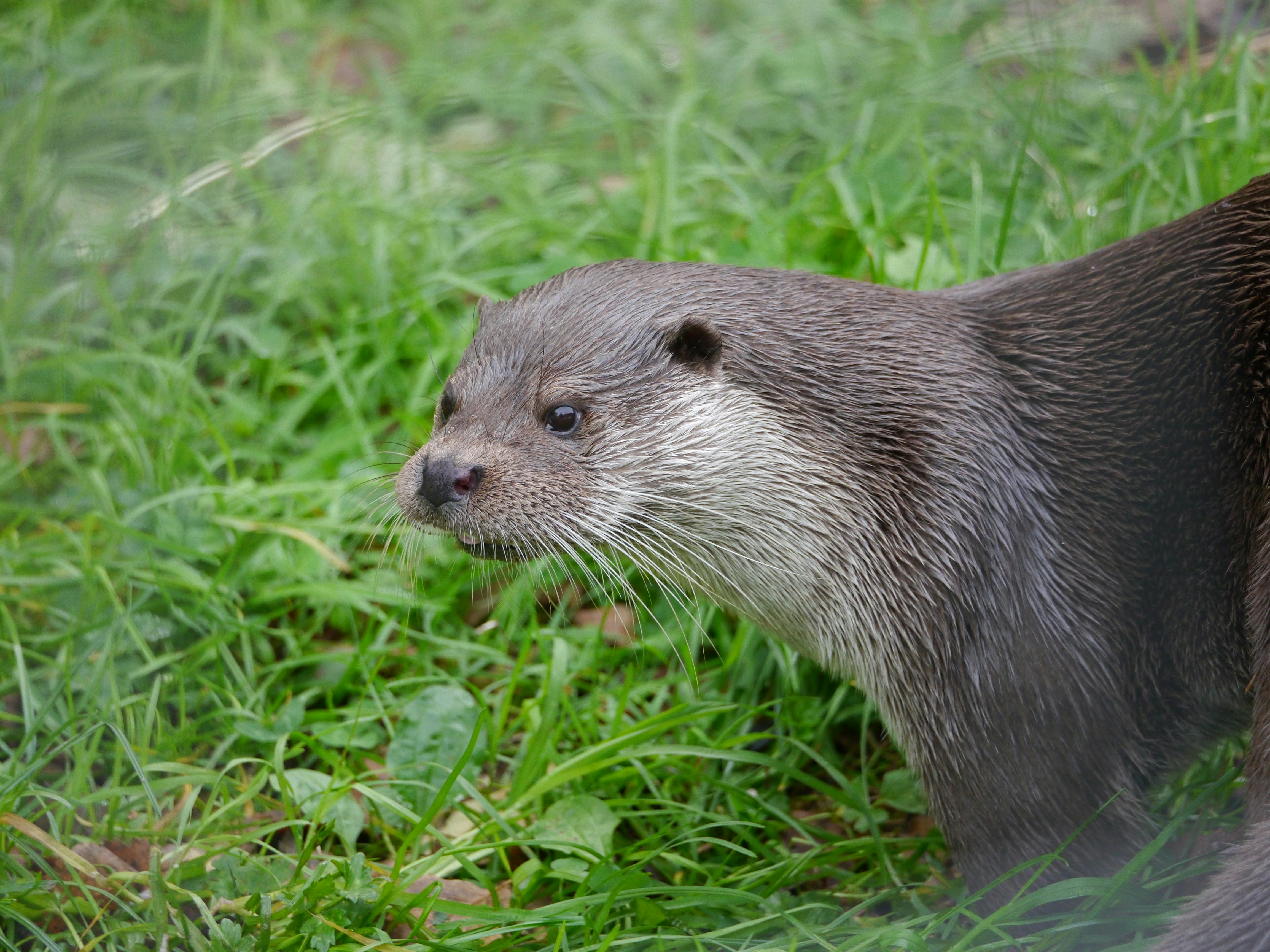 Photo by iqsphotography