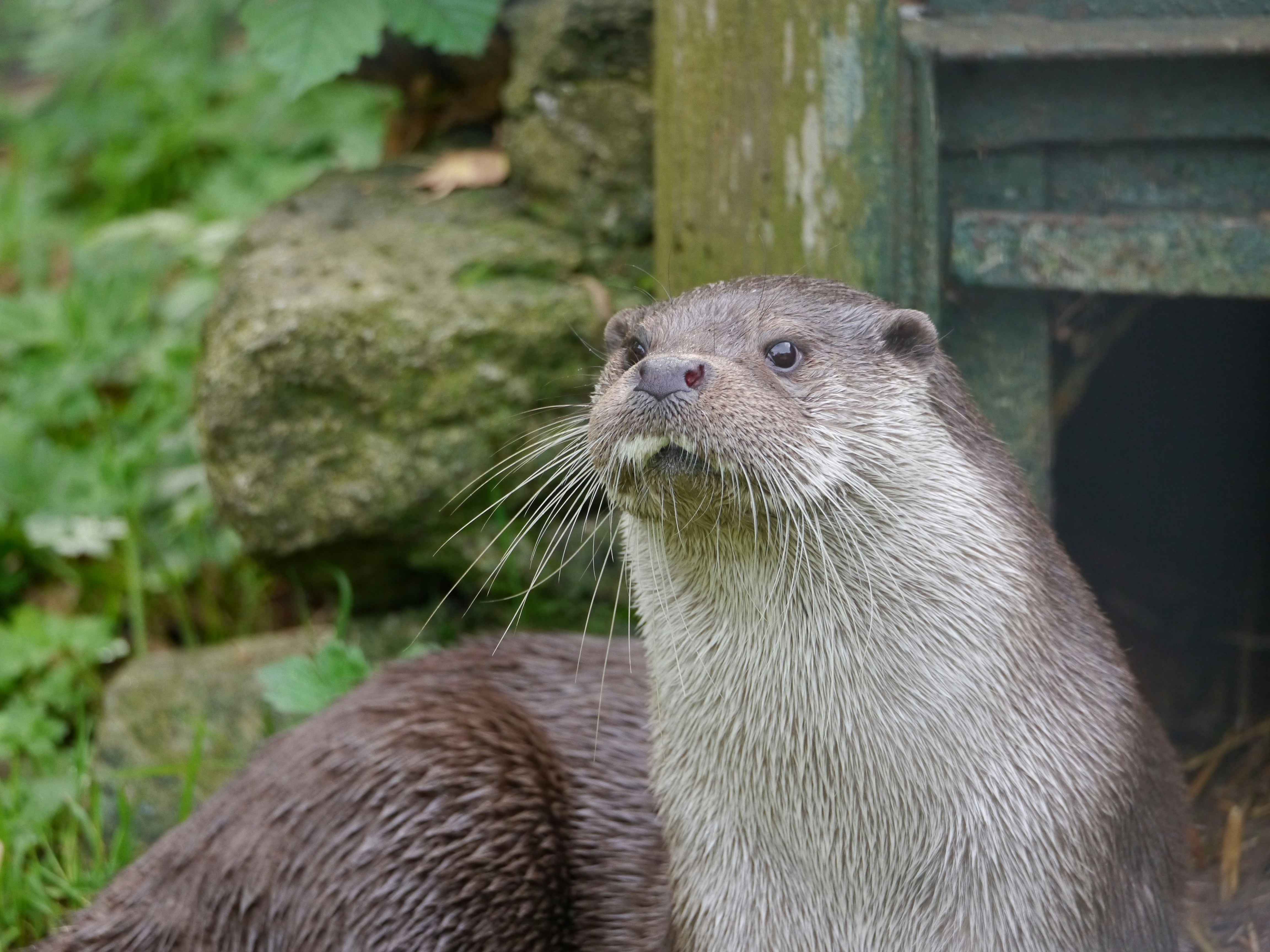 Photo by iqsphotography