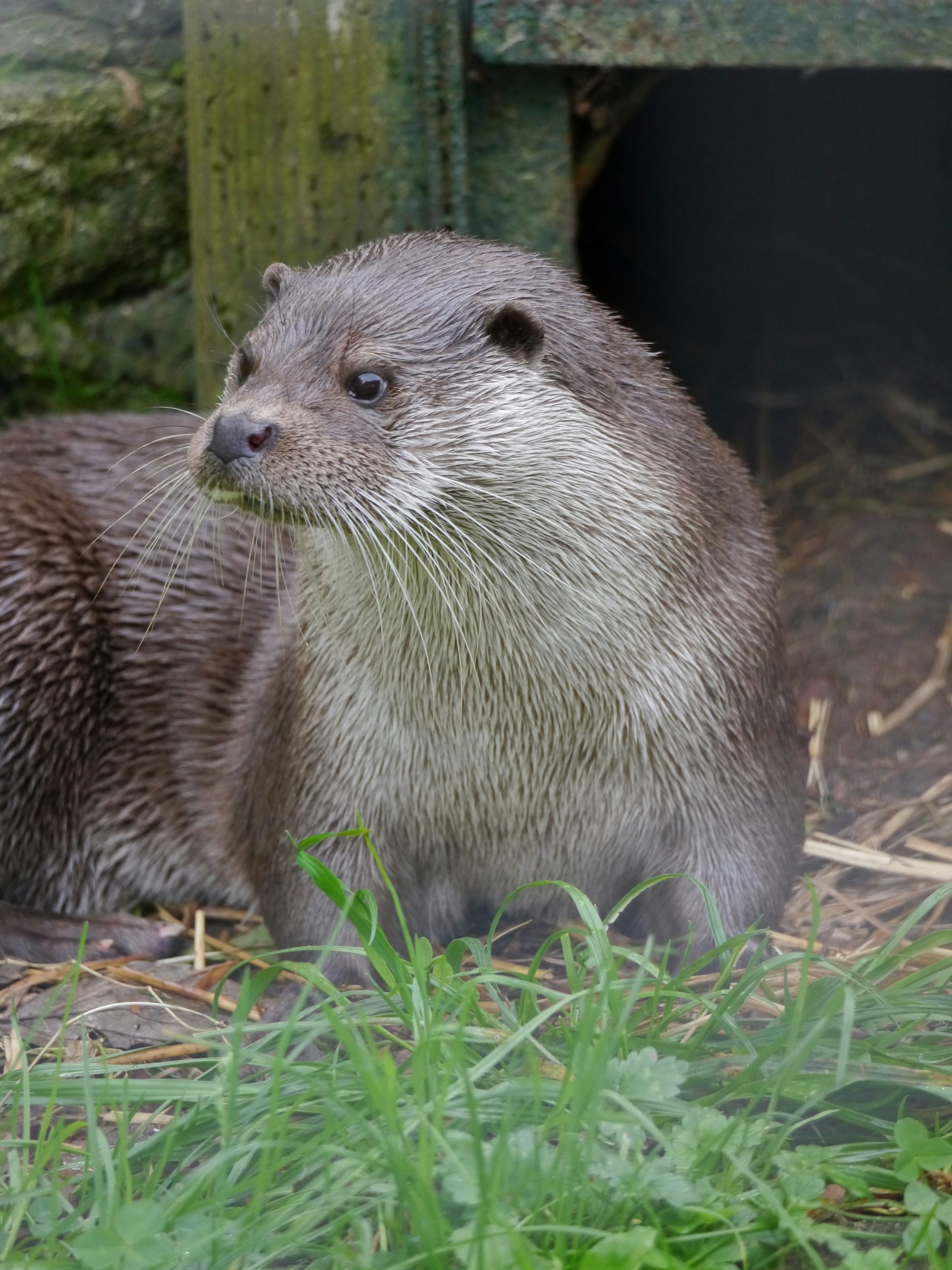 Photo by iqsphotography