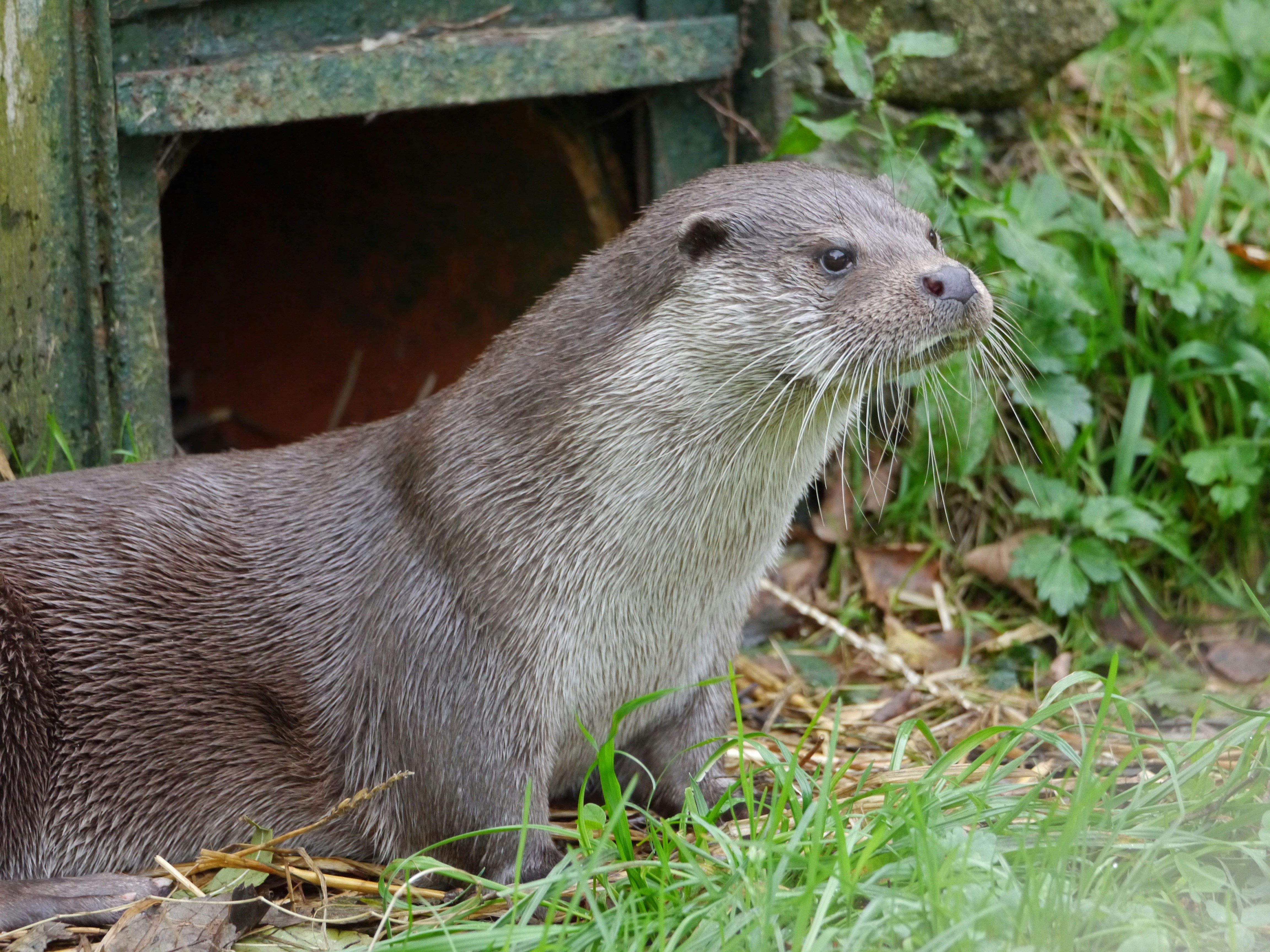 Photo by iqsphotography