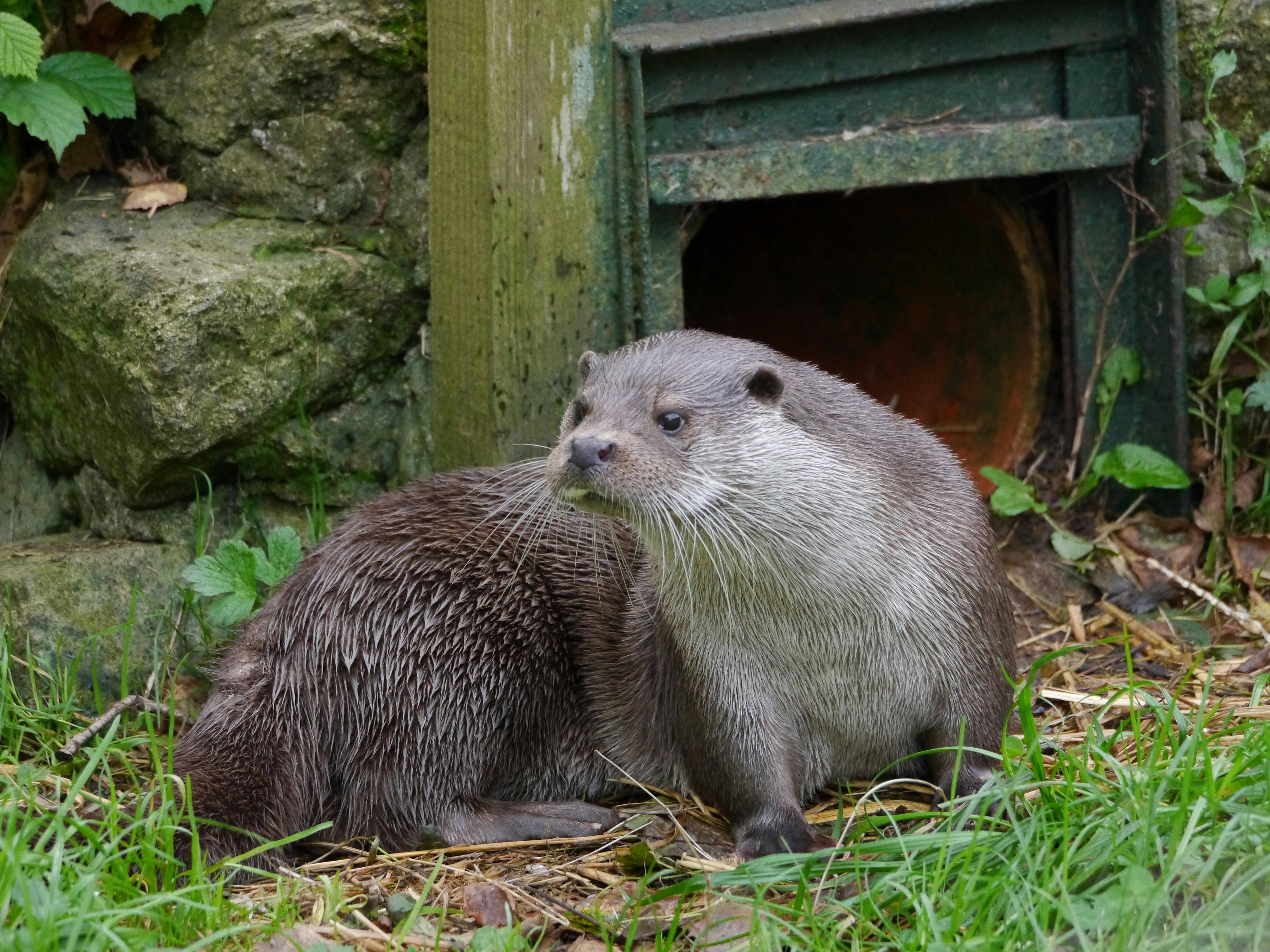 Photo by iqsphotography