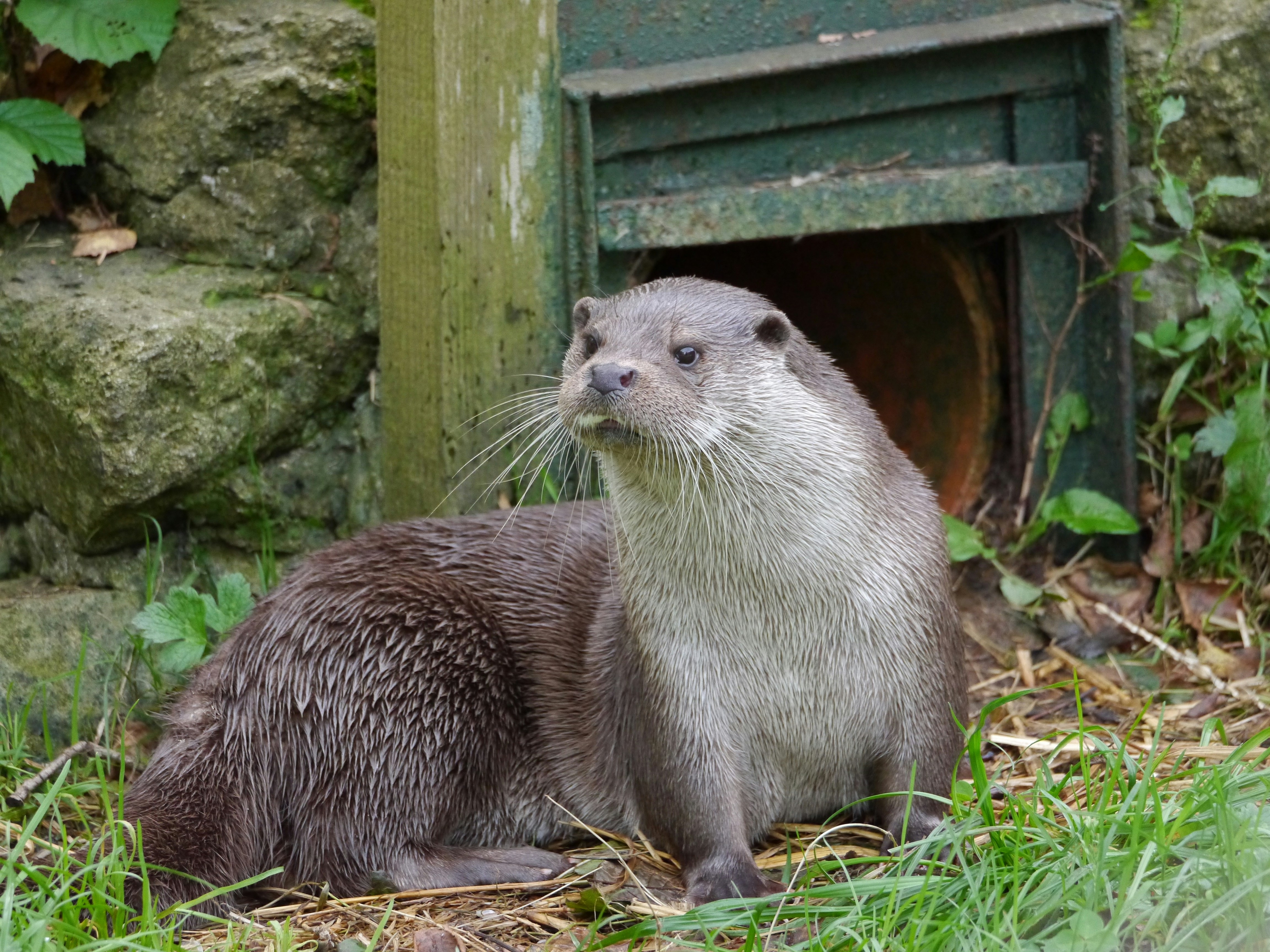 Photo by iqsphotography