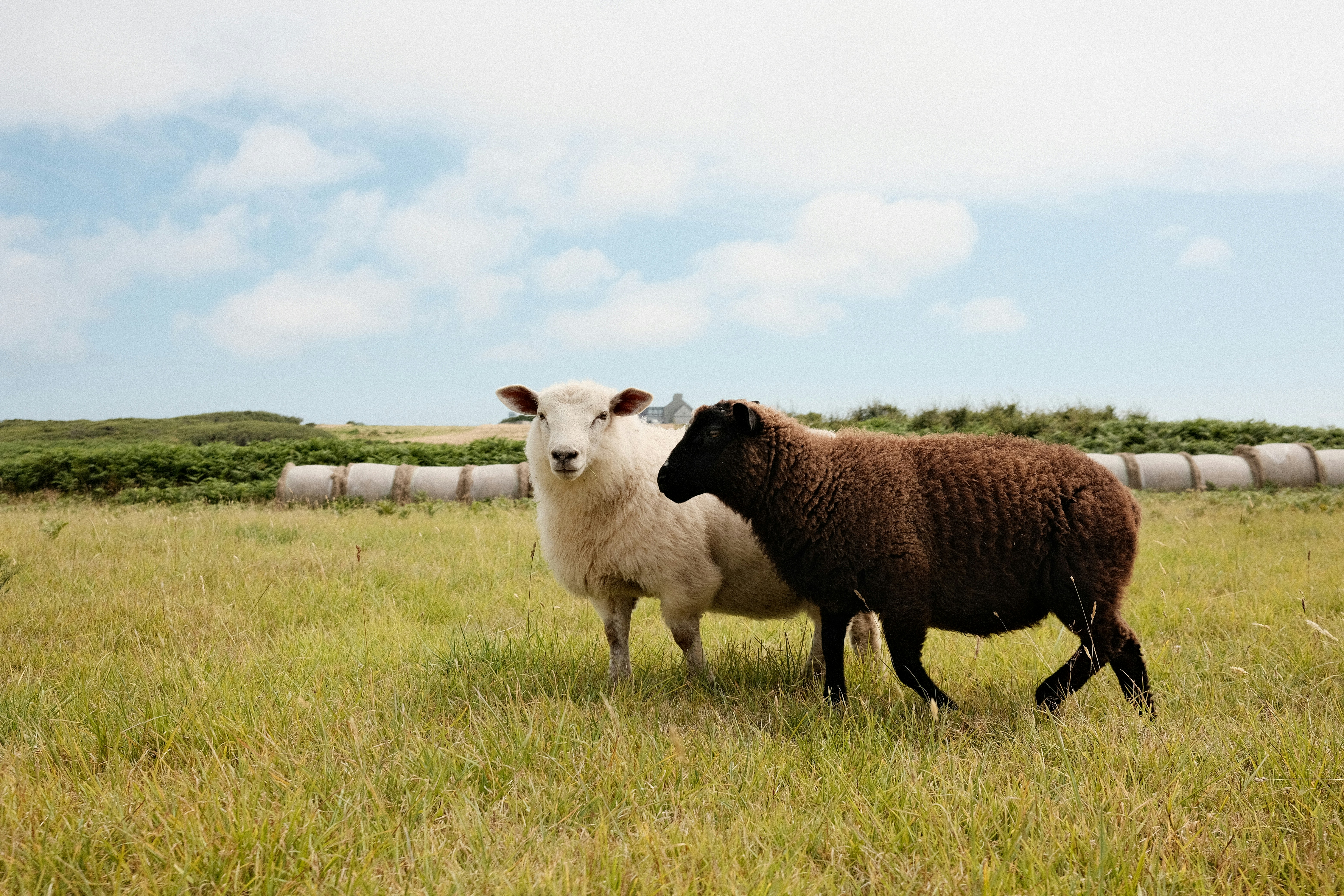 Photo by valentinlacoste