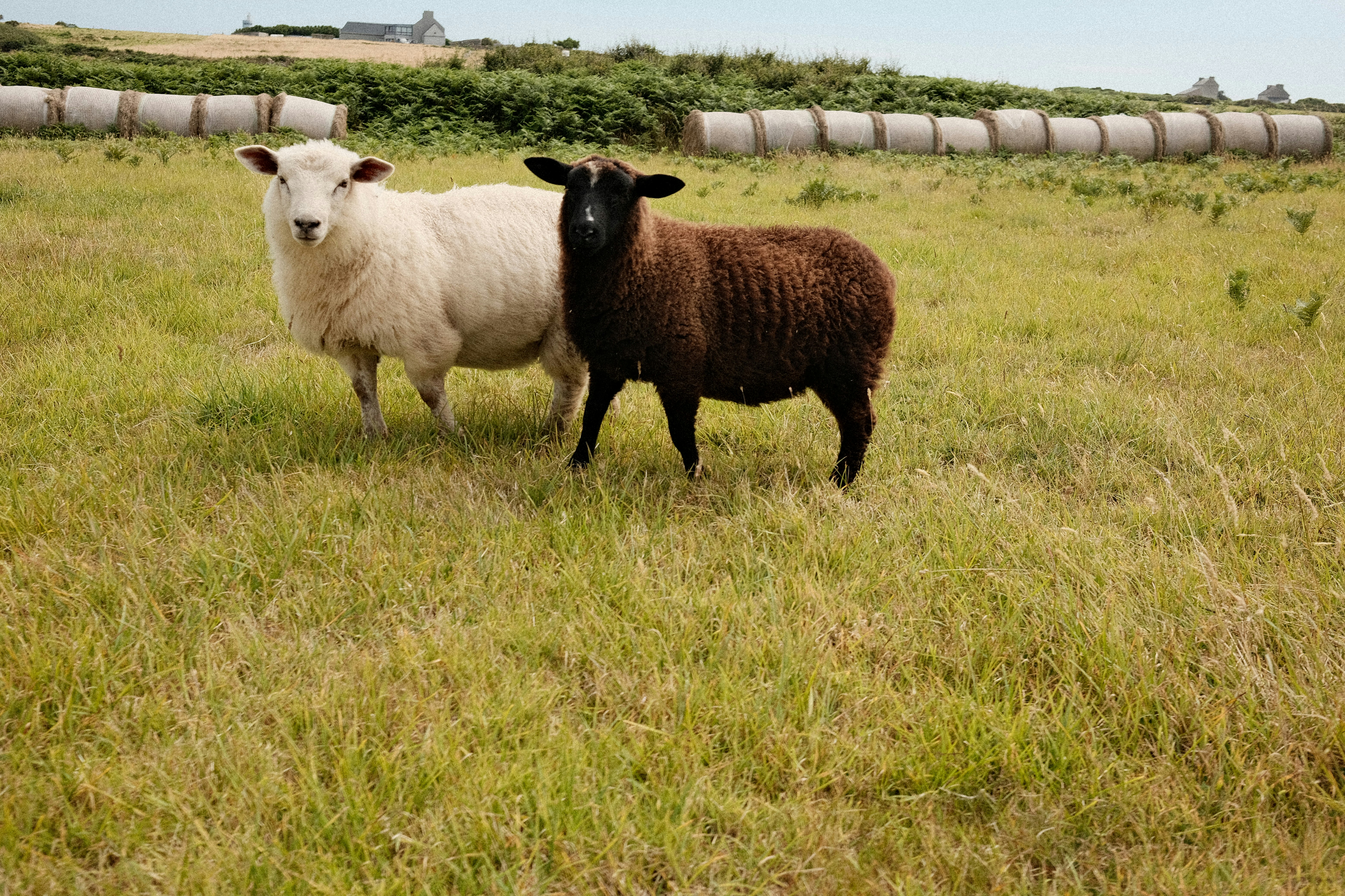 Photo by valentinlacoste