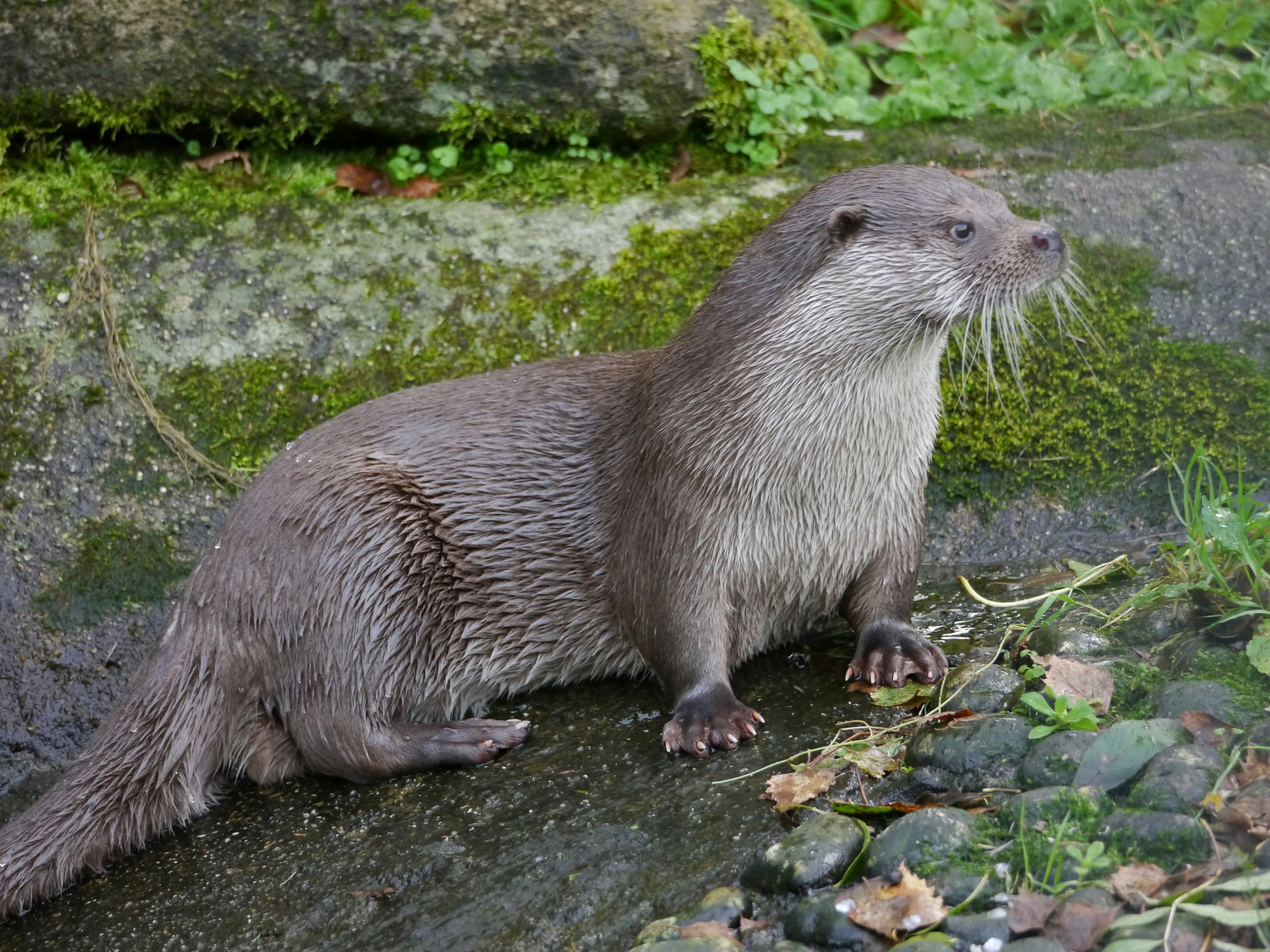 Photo by iqsphotography